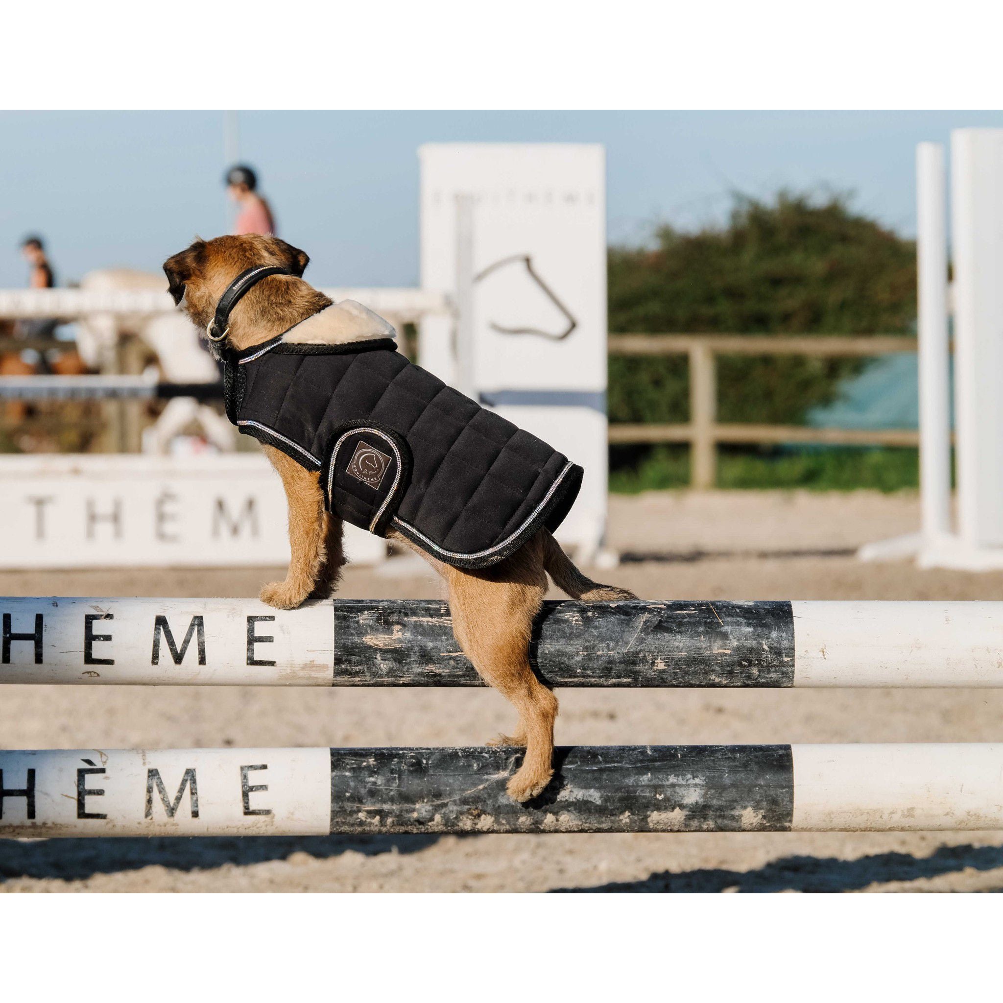 Je t'aime EQUITHÈME Velours dog rug Black 409037240