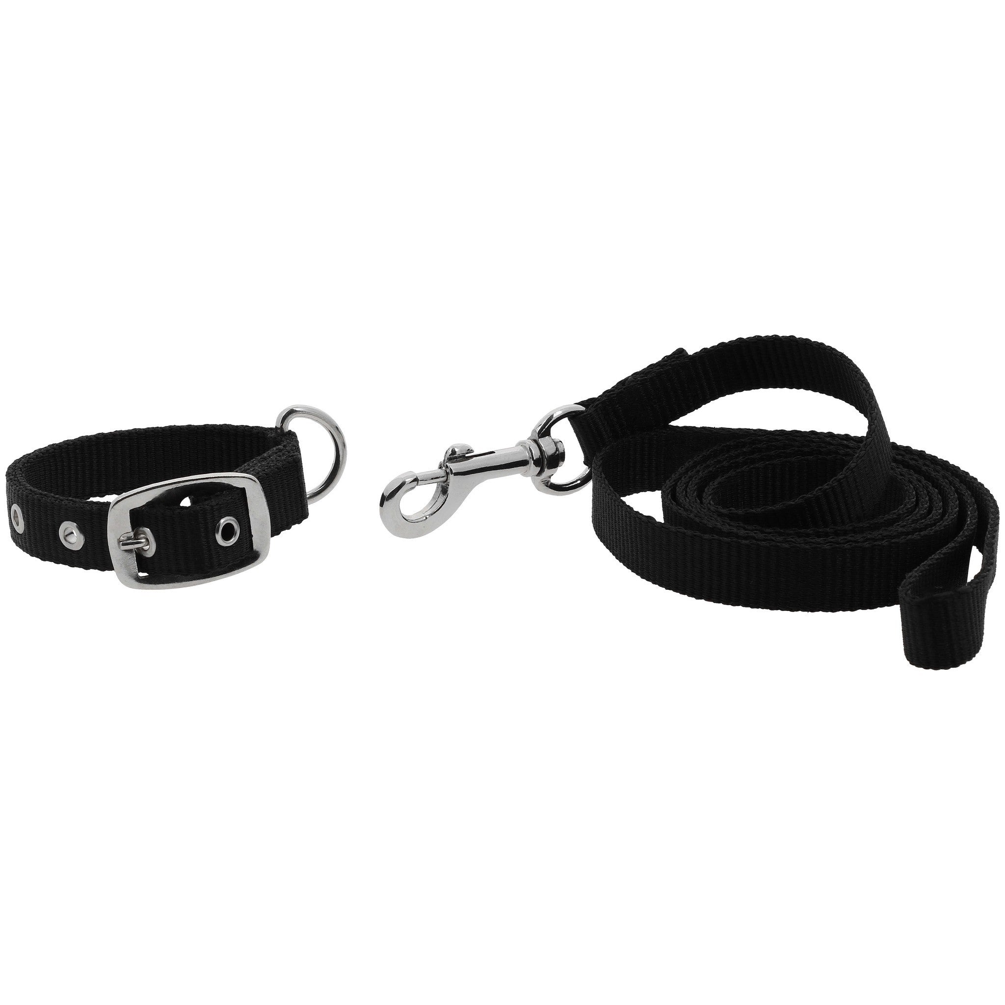 Riding World Oscar Collar + Leash Black 409057230