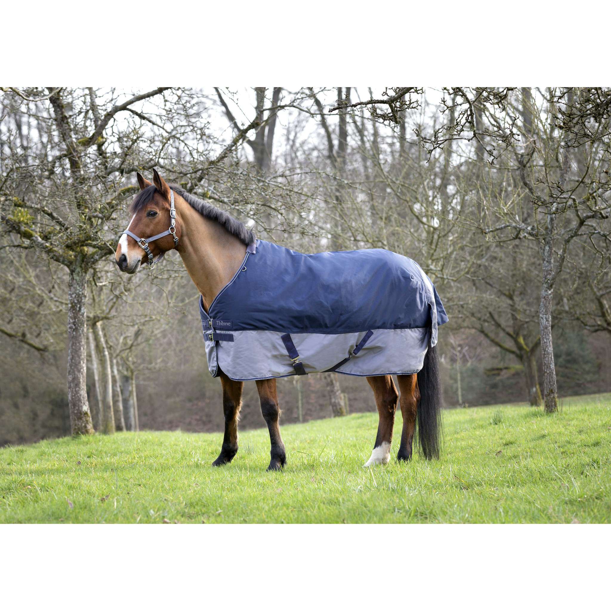 EQUITHÈME Tyrex New 600D Rug - Standard Navy blue/grey 400911763