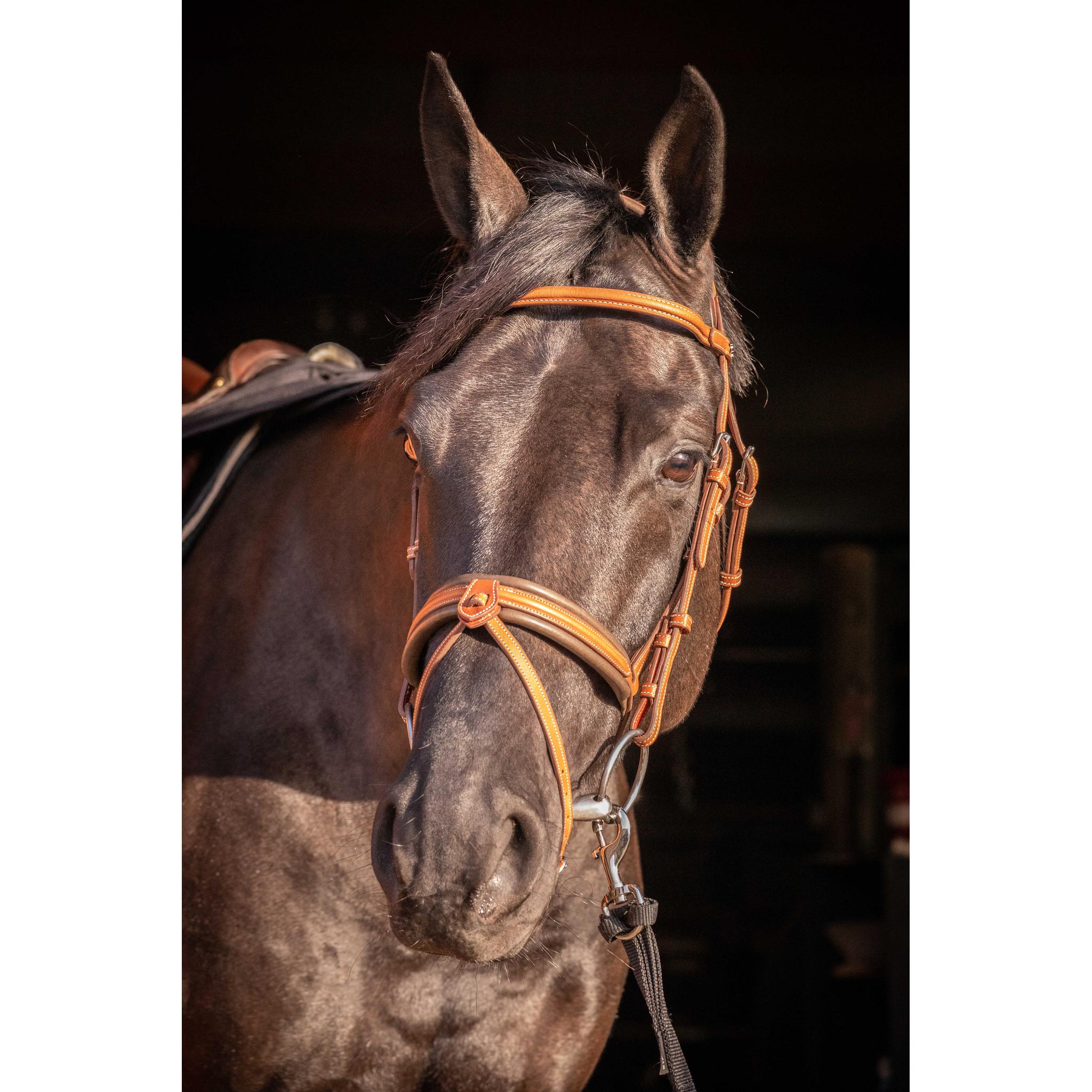 Penelope Elegance Bridle Cognac - 301605314_ambi_2
