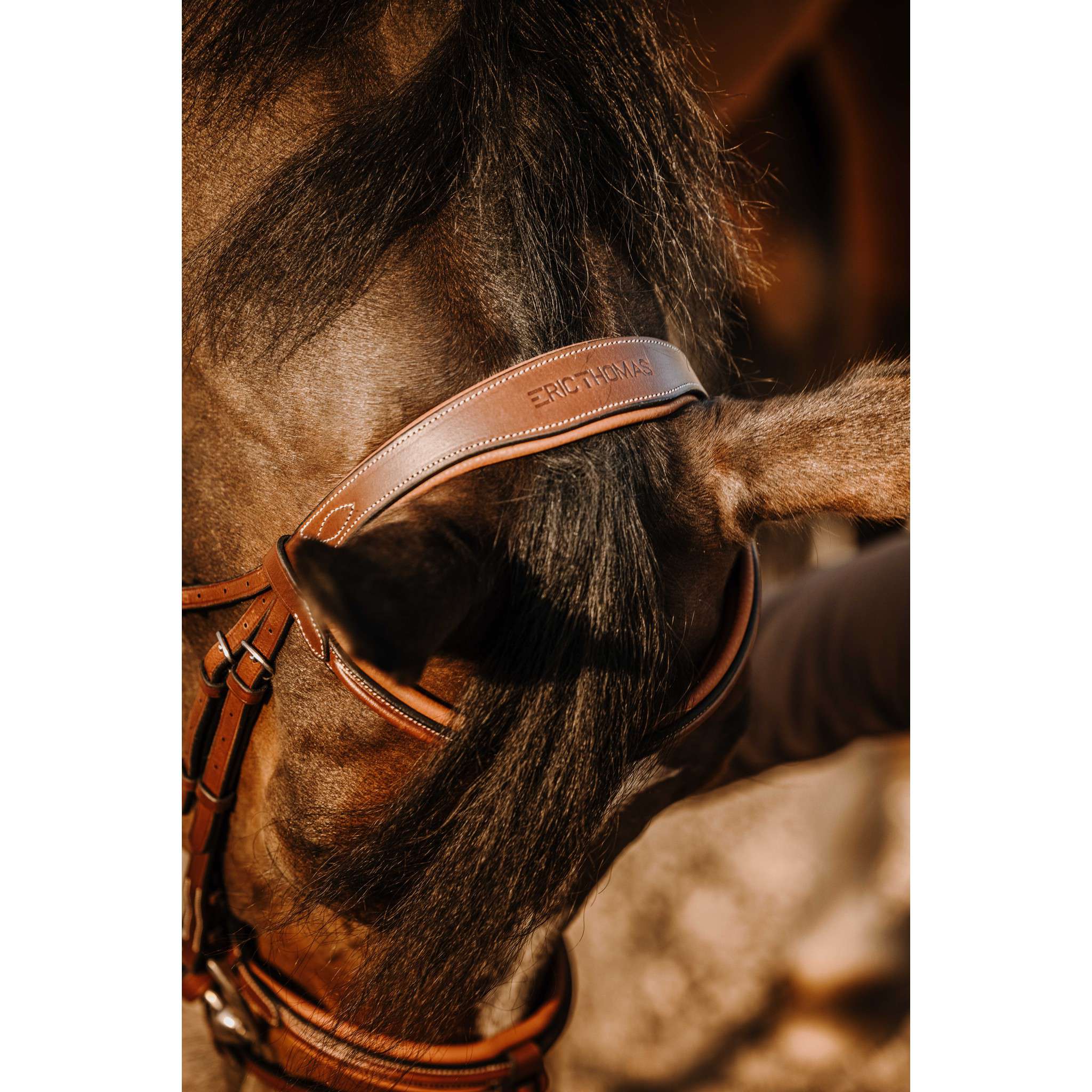 Éric Thomas Work Bridle Havana 301906318