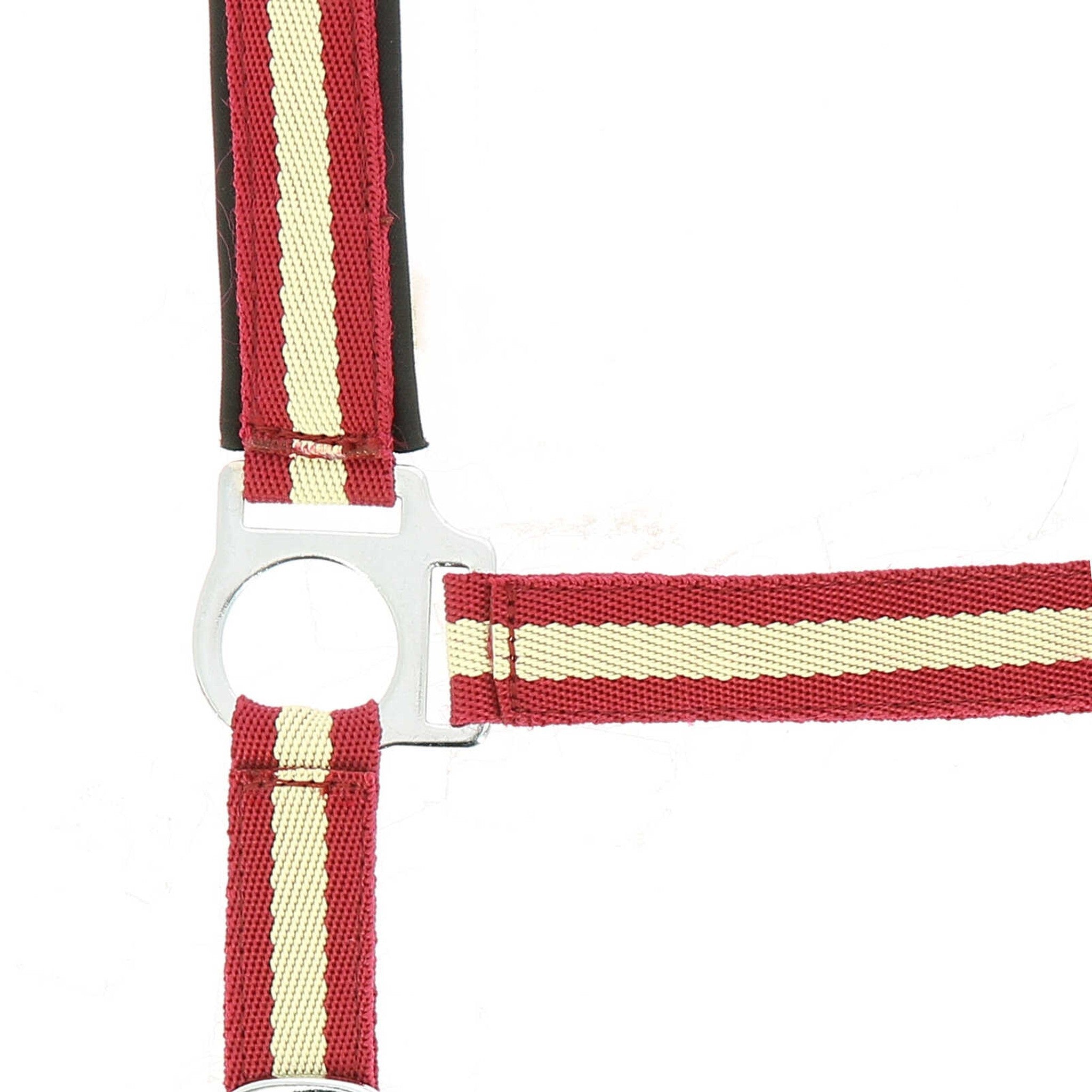 Norton nylon and neoprene lined Halter Red/ecru 510494331