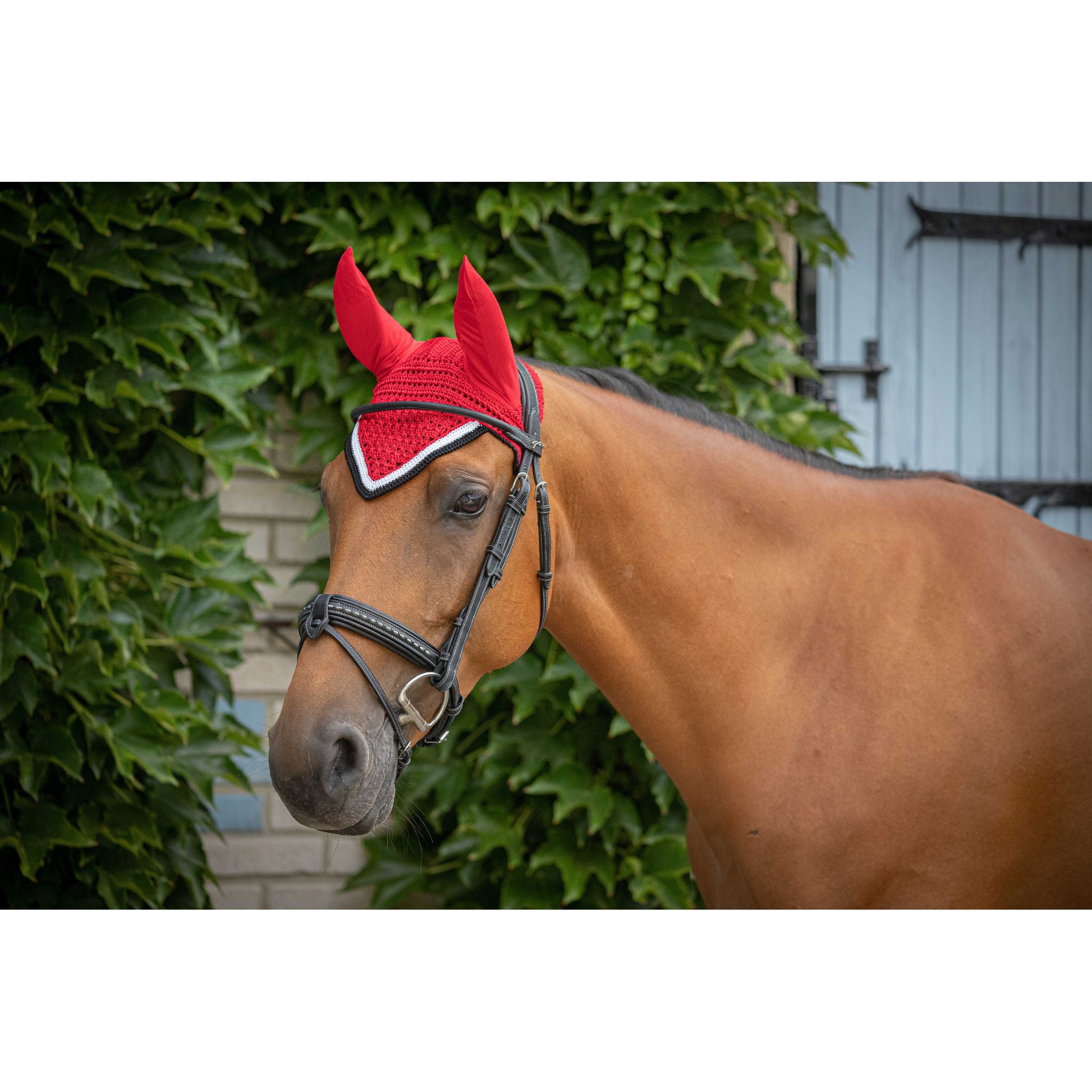 Paddock Sports Origine Fly Veil Red - 306988003_ambi_3