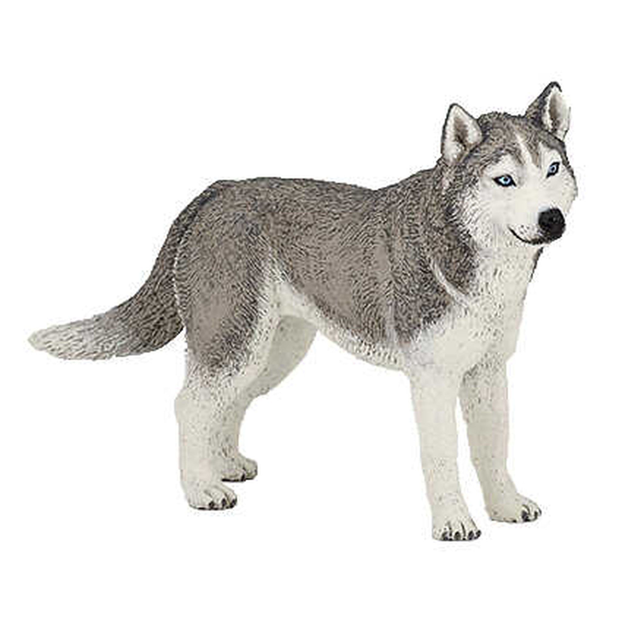 PAPO Siberian Husky - 905054035_packshot_1
