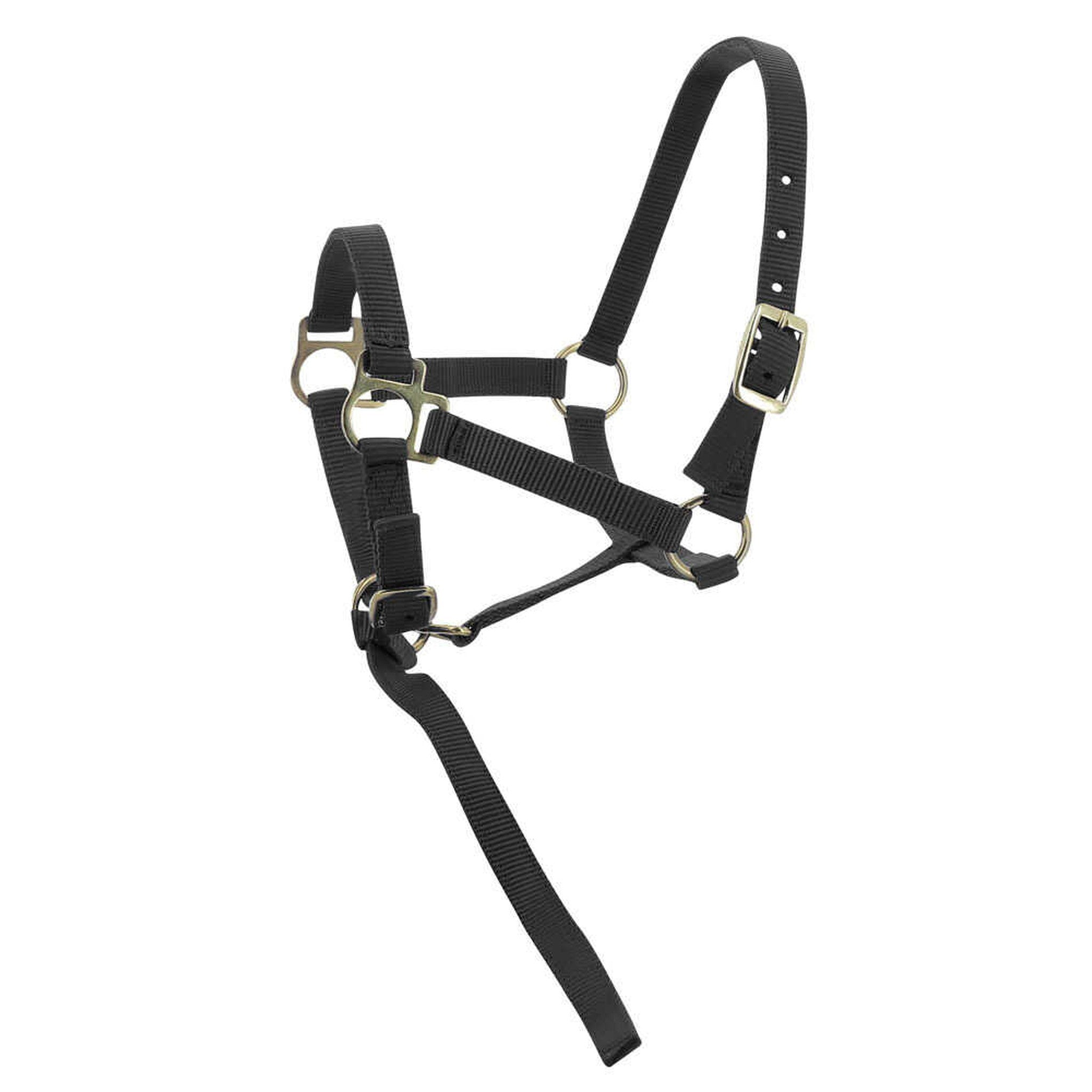 Norton Nylon halter foal Black 510038002
