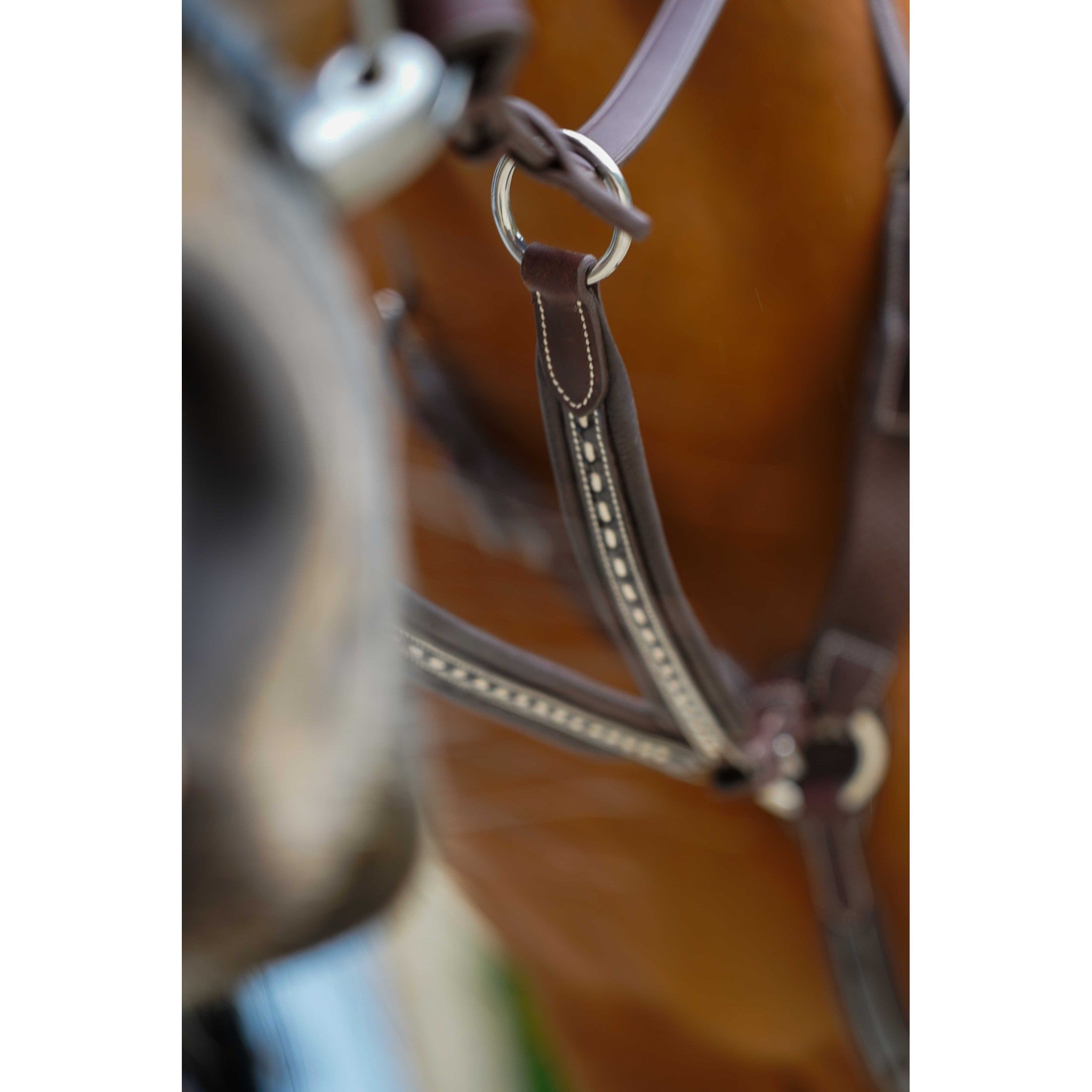 Pénélope Point Sellier Martingale Attachment Havana 306153018