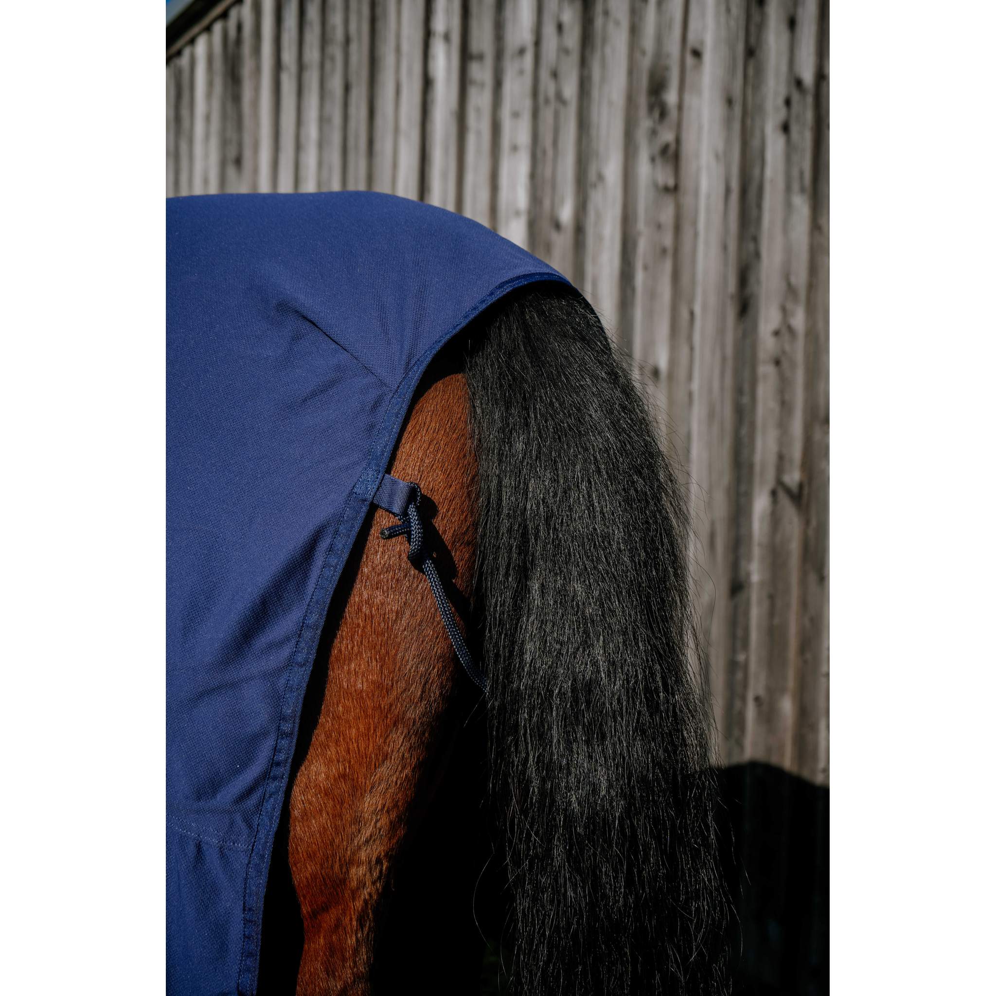 EQUITHEME FRESH Cool&dry Refreshing Sheet Navy blue - 400782063_zoom_4