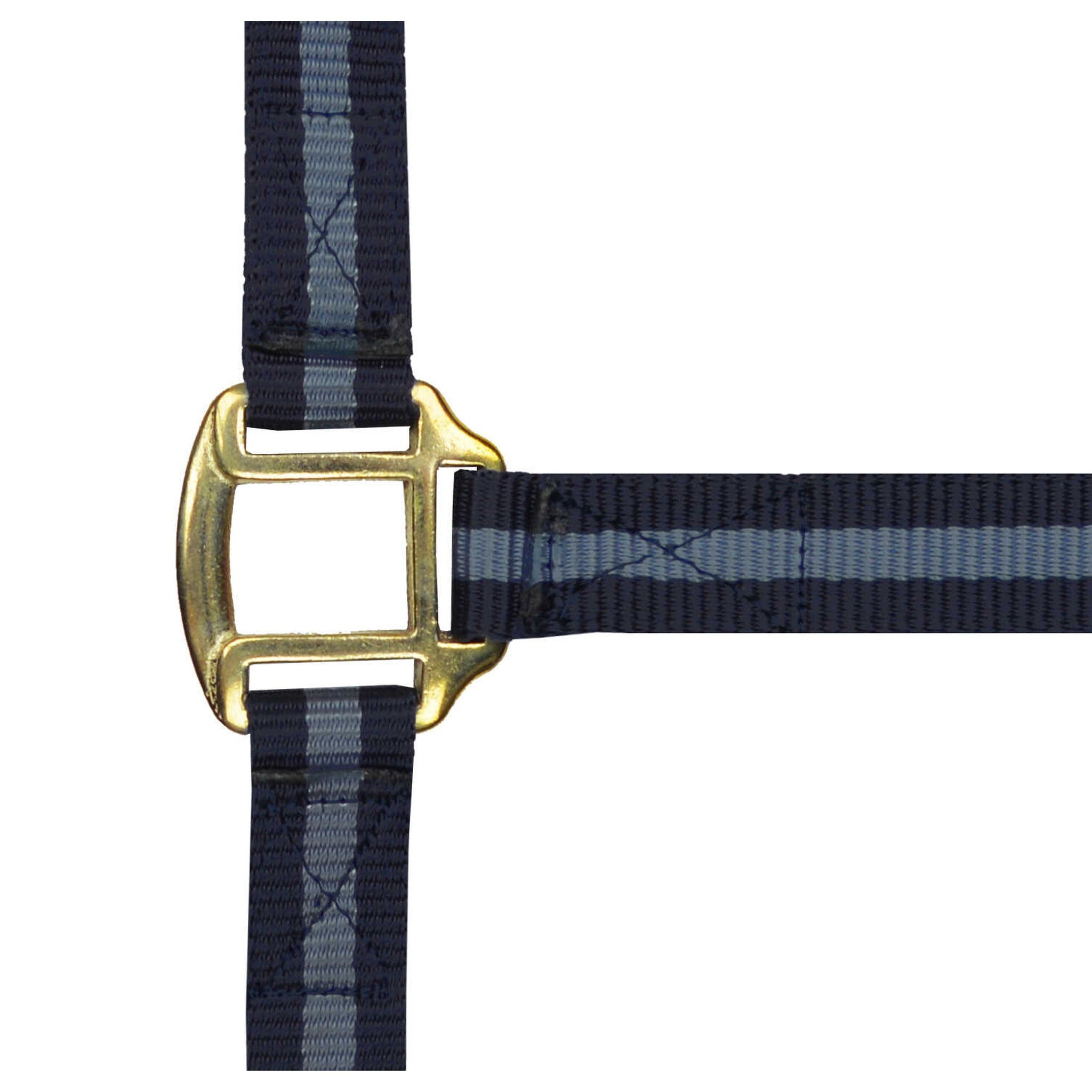 Norton Leather lined nylon headcollar Navy blue/grey 510185711