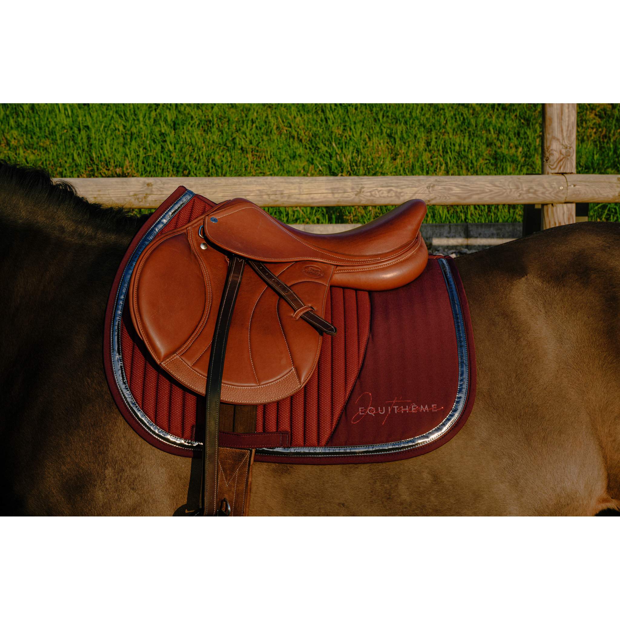 EQUITHÈME Talent All-Purpose Saddle Pad Burgundy - 204511033_ambi_1