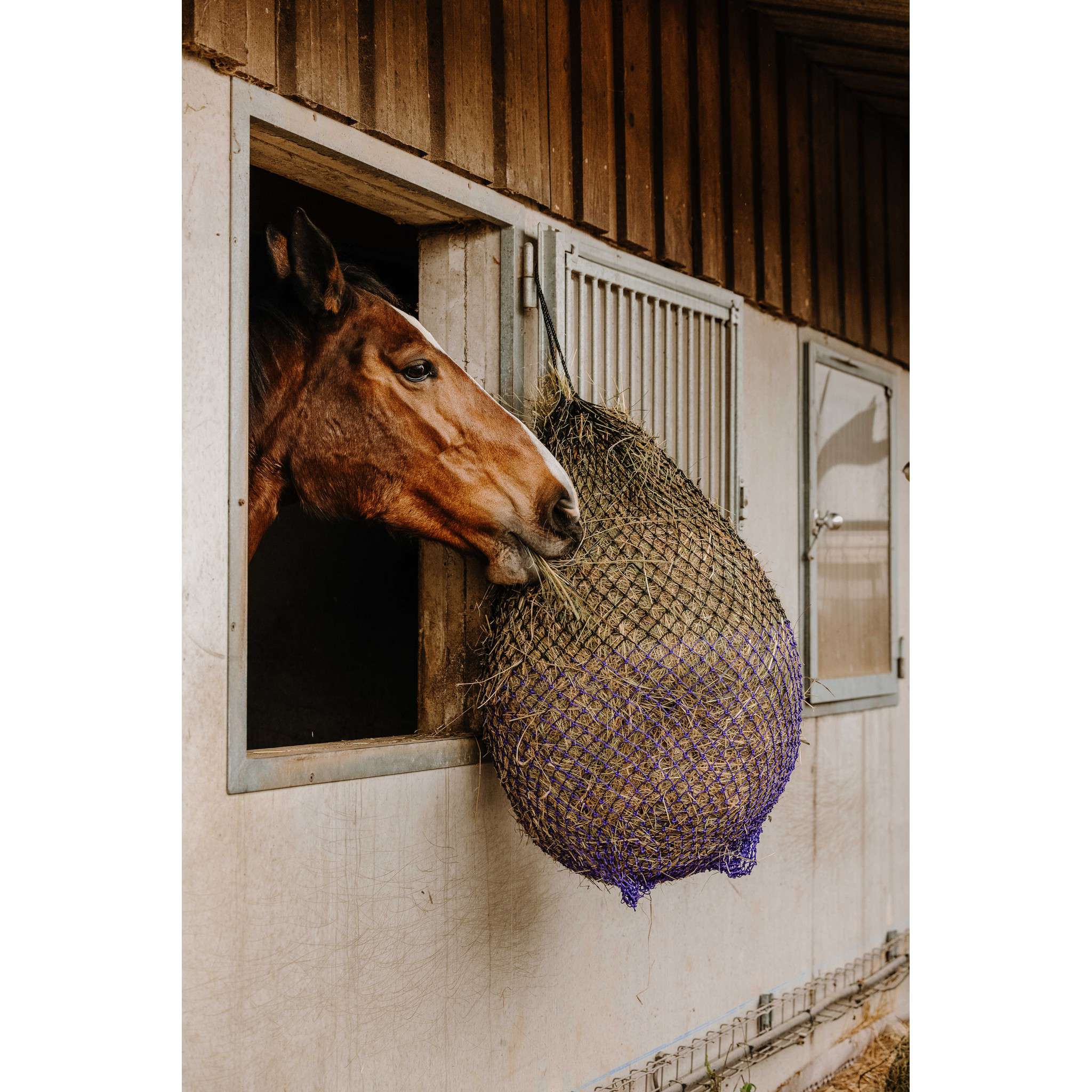 Hippo-Tonic Fine Hay Net Black/purple 306834217