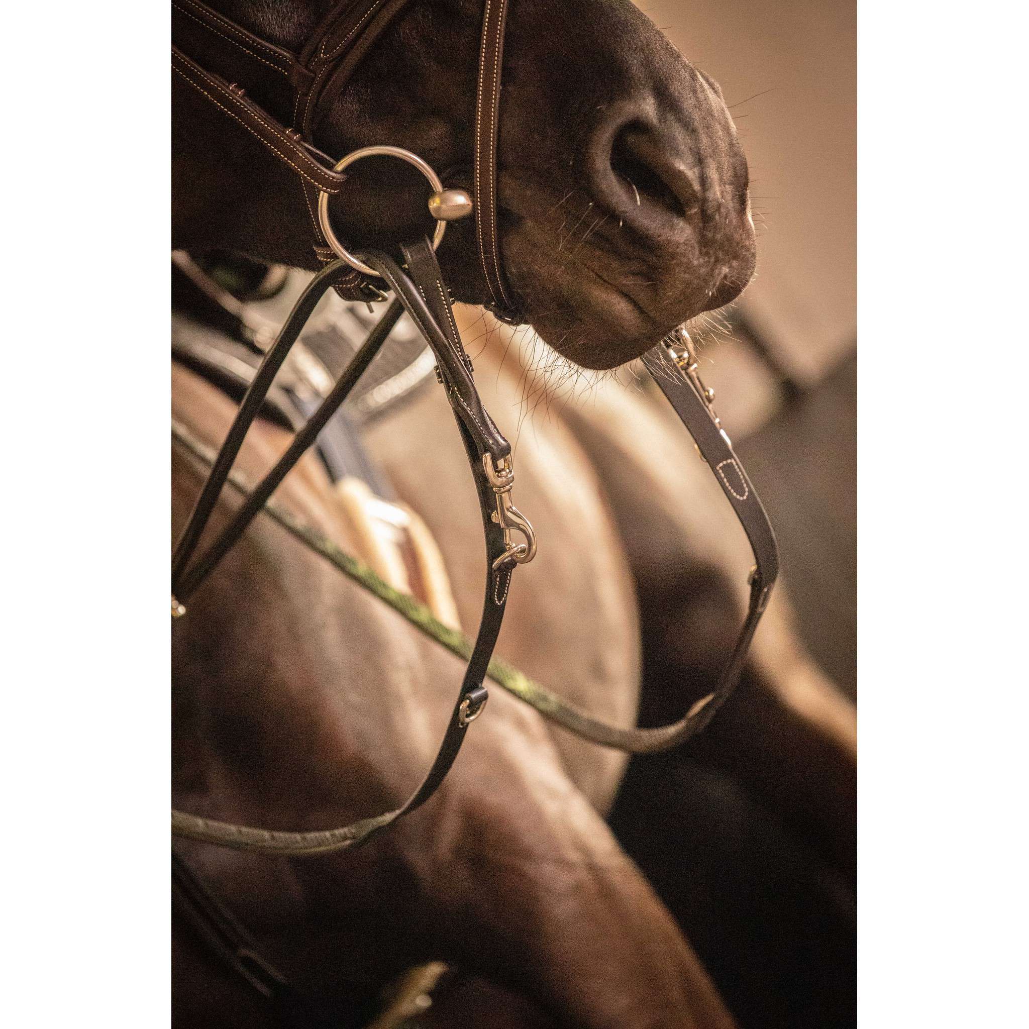 Pénélope Howlett Reins Black 301637302