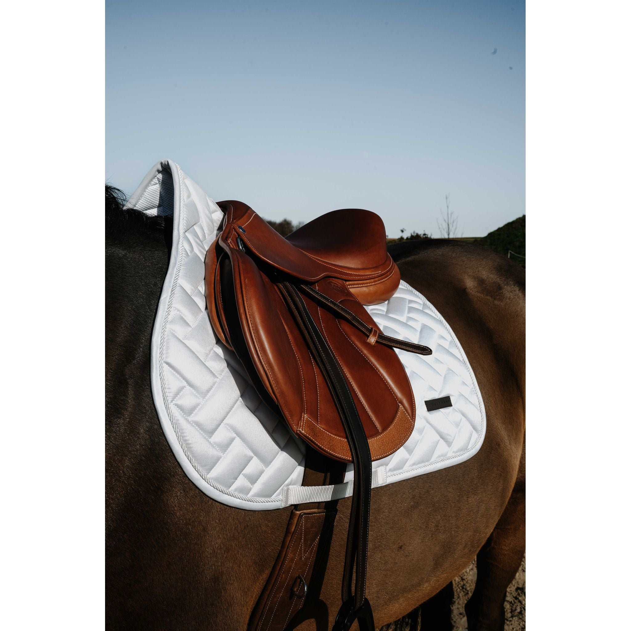 EQUITHÈME Starlet All-Purpose Saddle Pad White - 204027001_ambi_2