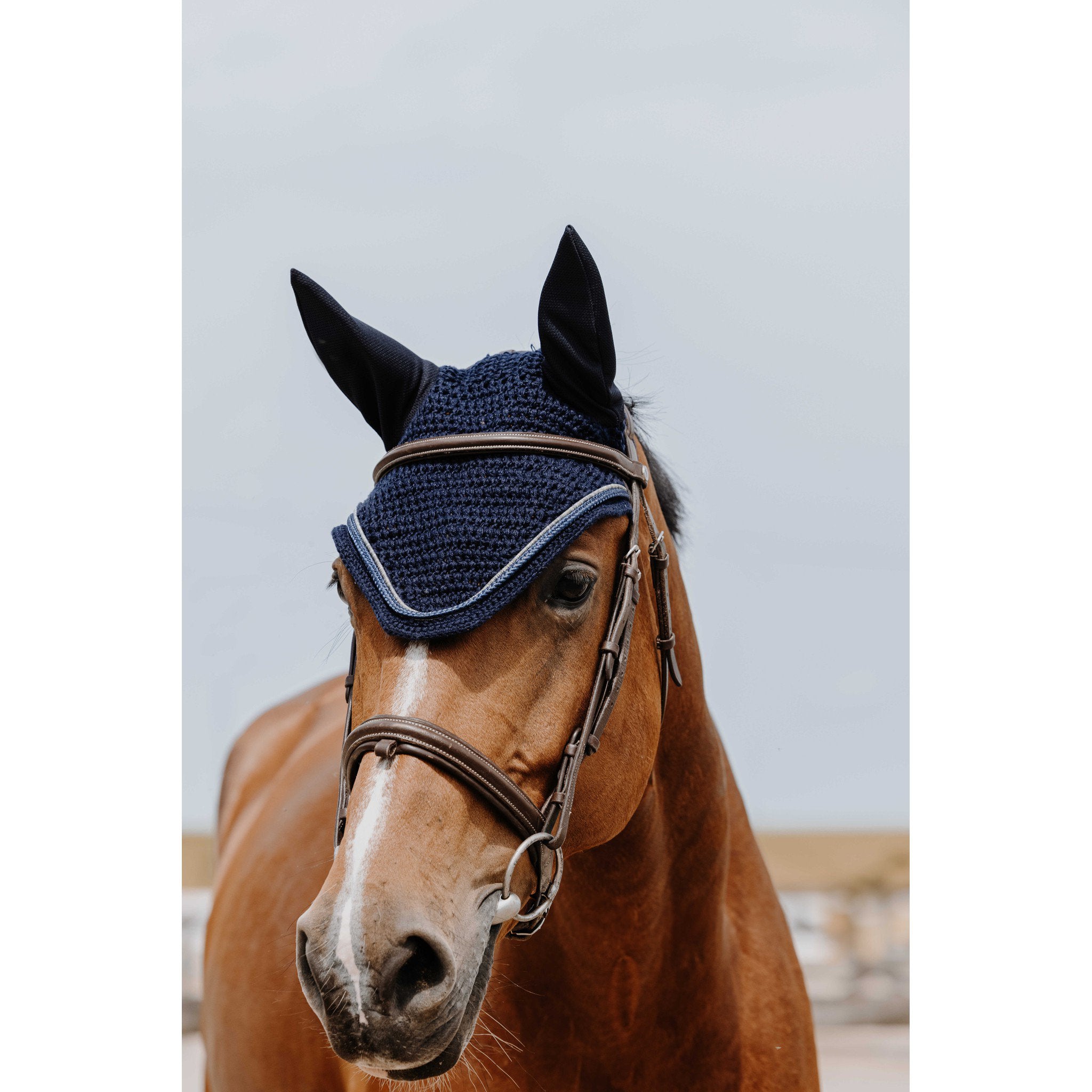 EQUITHÈME Hexalight fly veil Navy blue 306882007