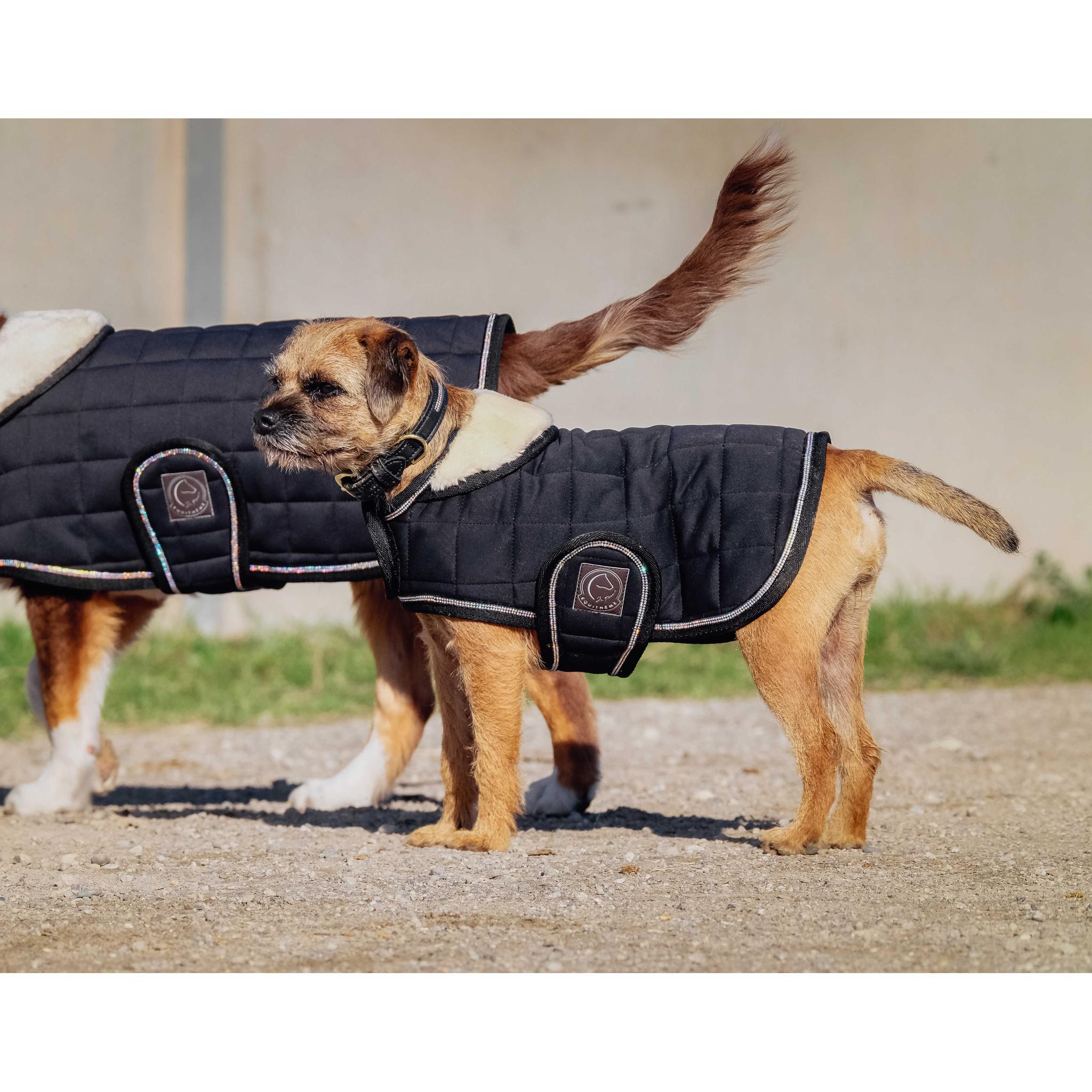 Je t'aime EQUITHÈME Velours dog rug Black 409037240