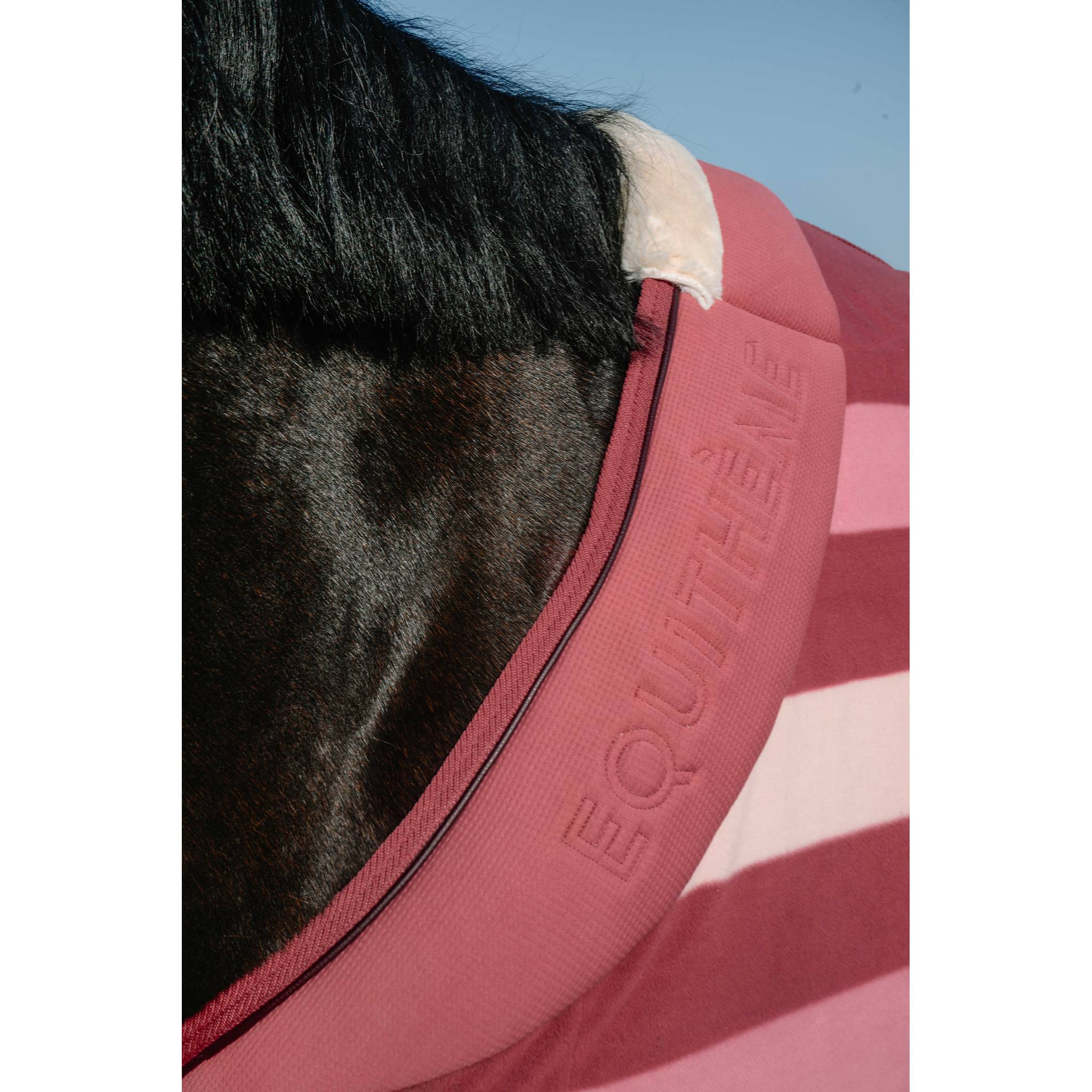 EQUITHÈME Confortech Fleece Sheet - Standard Pink - 400745163_ambi_5