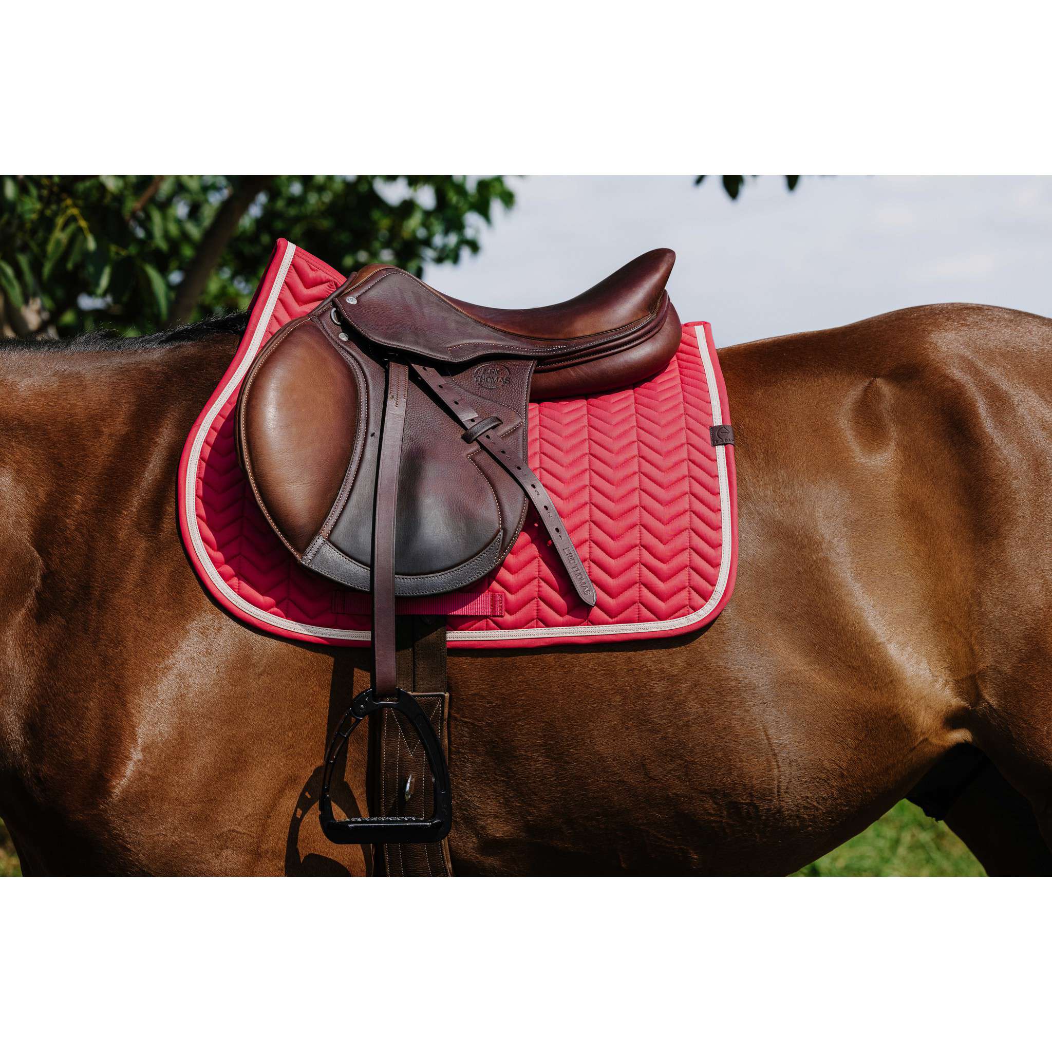 EQUITHÈME Softypop Saddle Pad - All purpose Raspberry 204003035