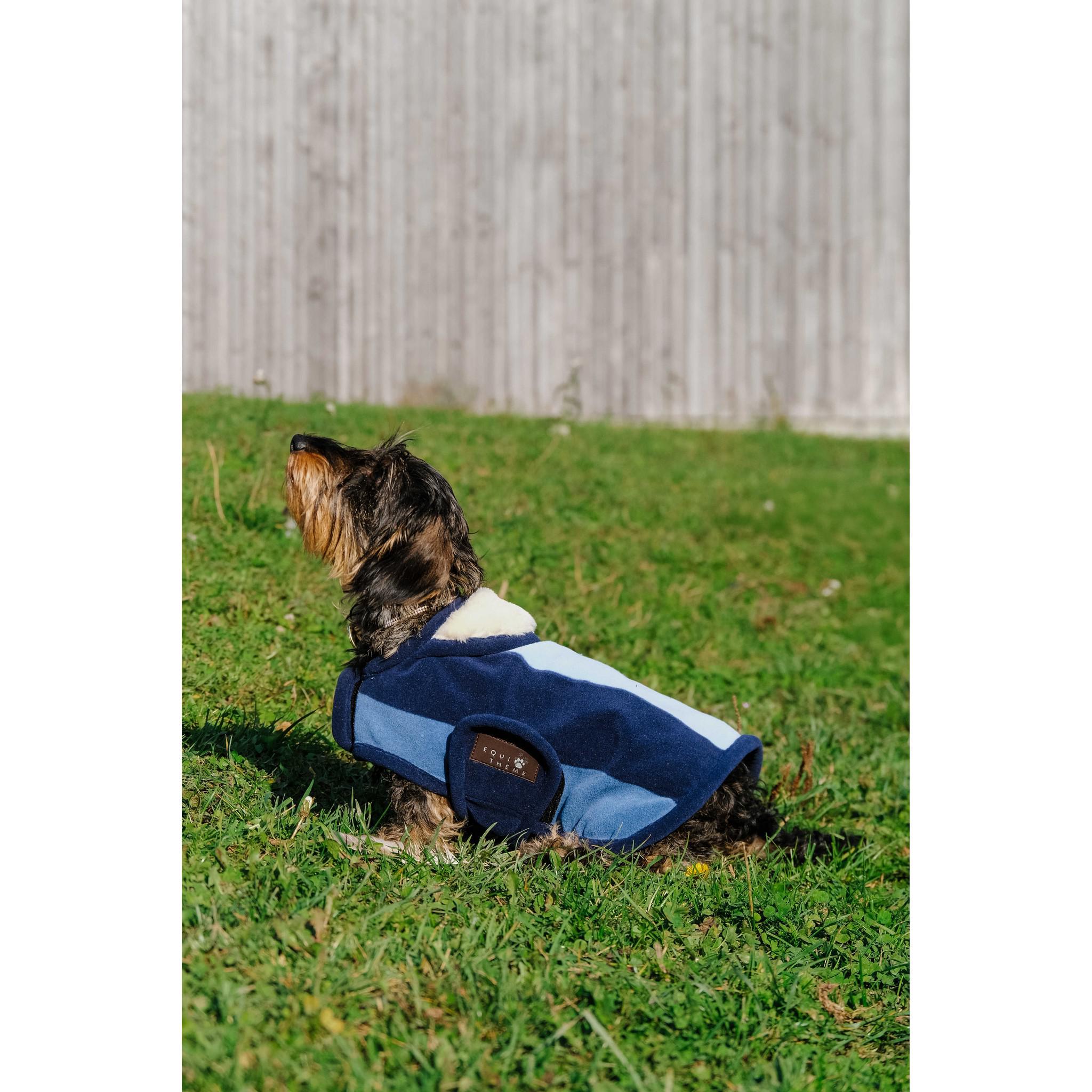 EQUITHÈME New Market Dog Rug Navy blue 409033740