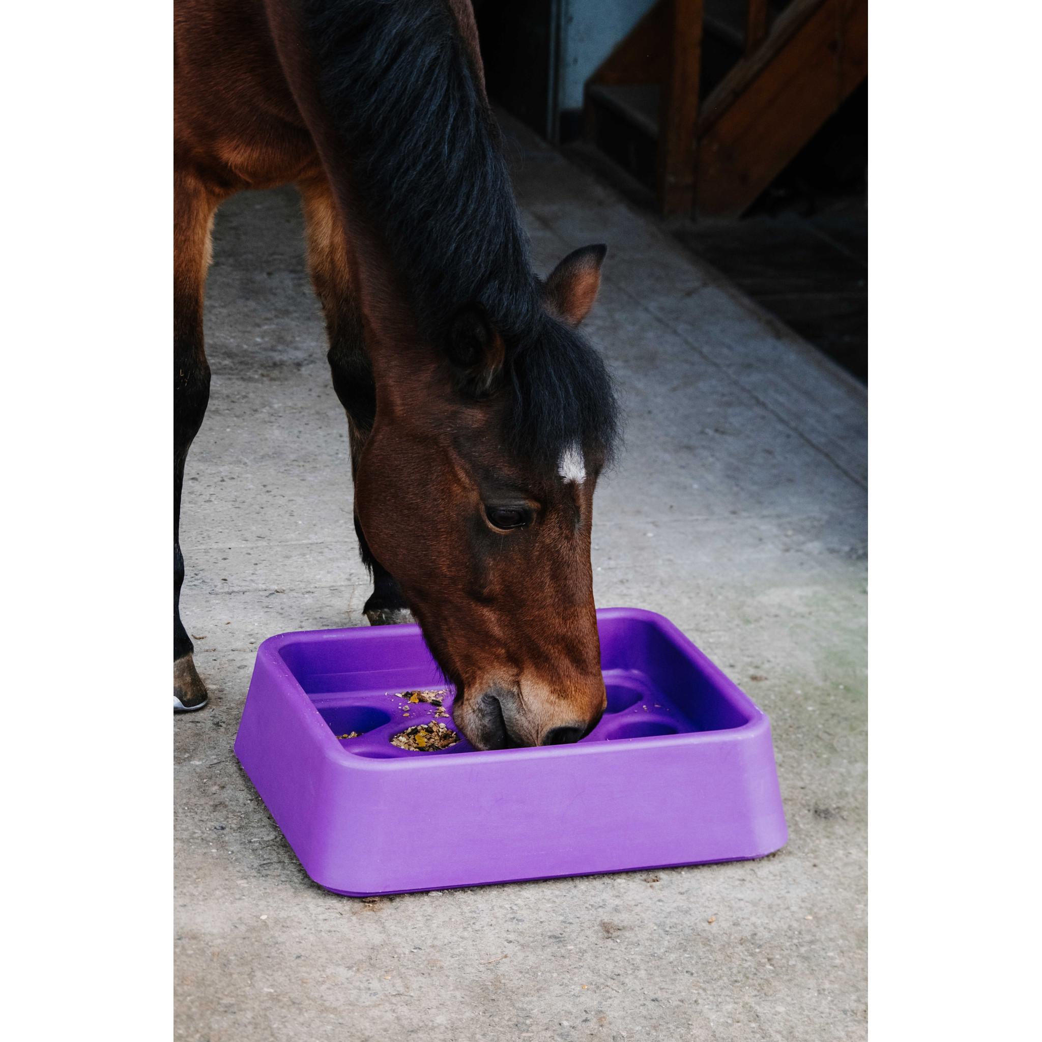Hippo-Tonic Anti-gorging Feeder Purple 704014015