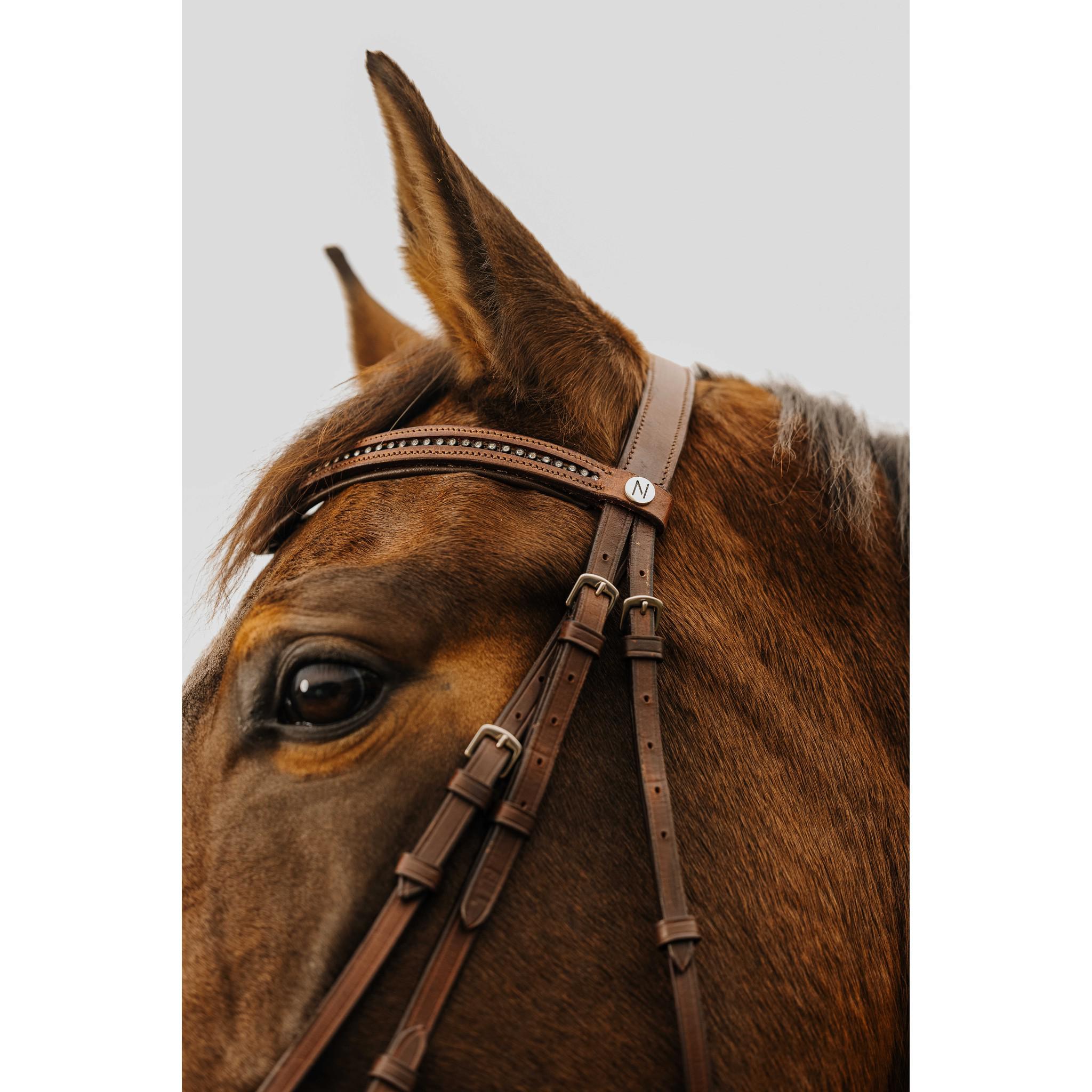 Norton Club Strass V Bridle Havana 301910318