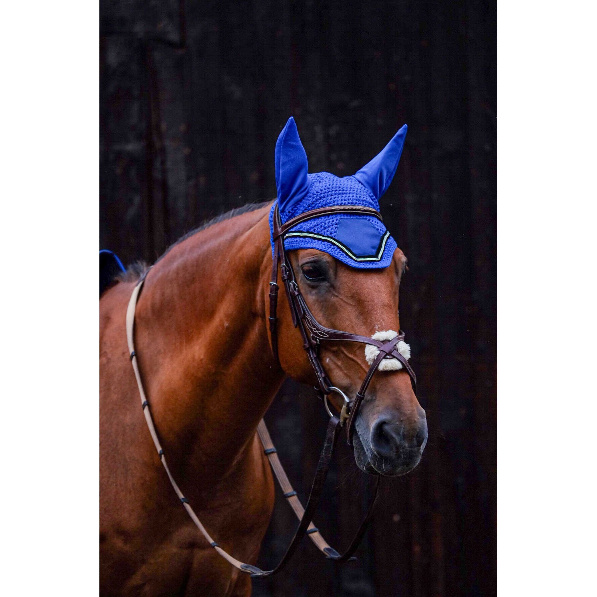 EQUITHÈME Domino Fly Veil Royal blue - 306975006_ambi_1