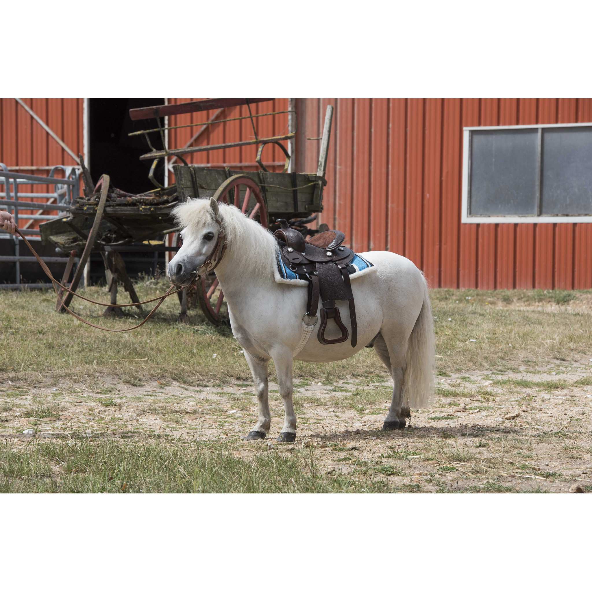 Westride Quilted Navajo pad Turquoise/black/white 801088017