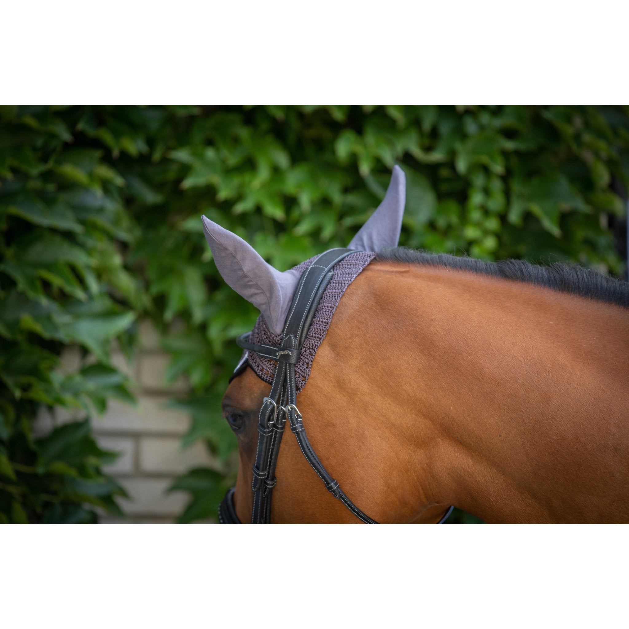 Paddock Sports Origine Fly Veil Dark grey - 306988031_ambi_6