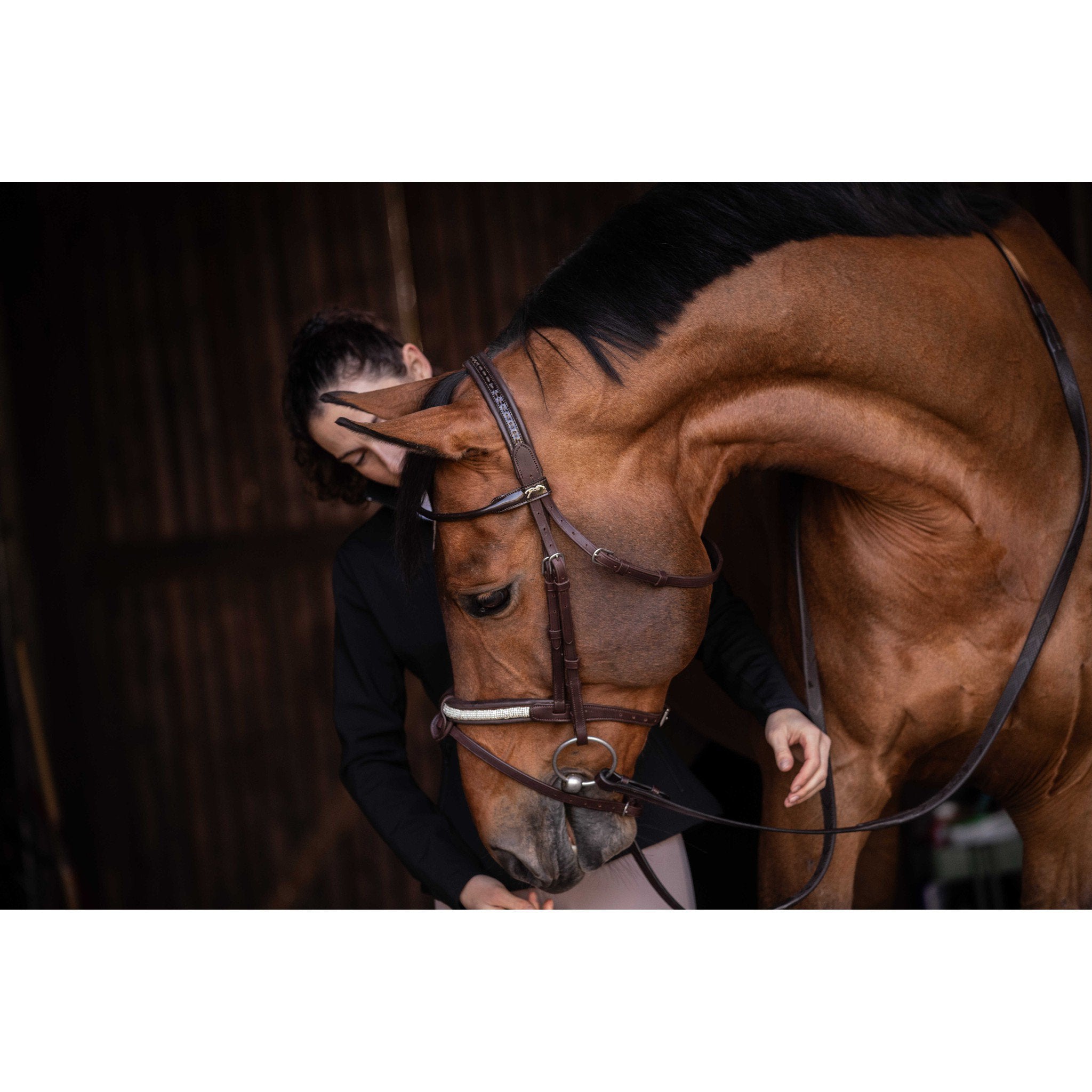 Pénélope Symphonie Bridle Havana 301612318