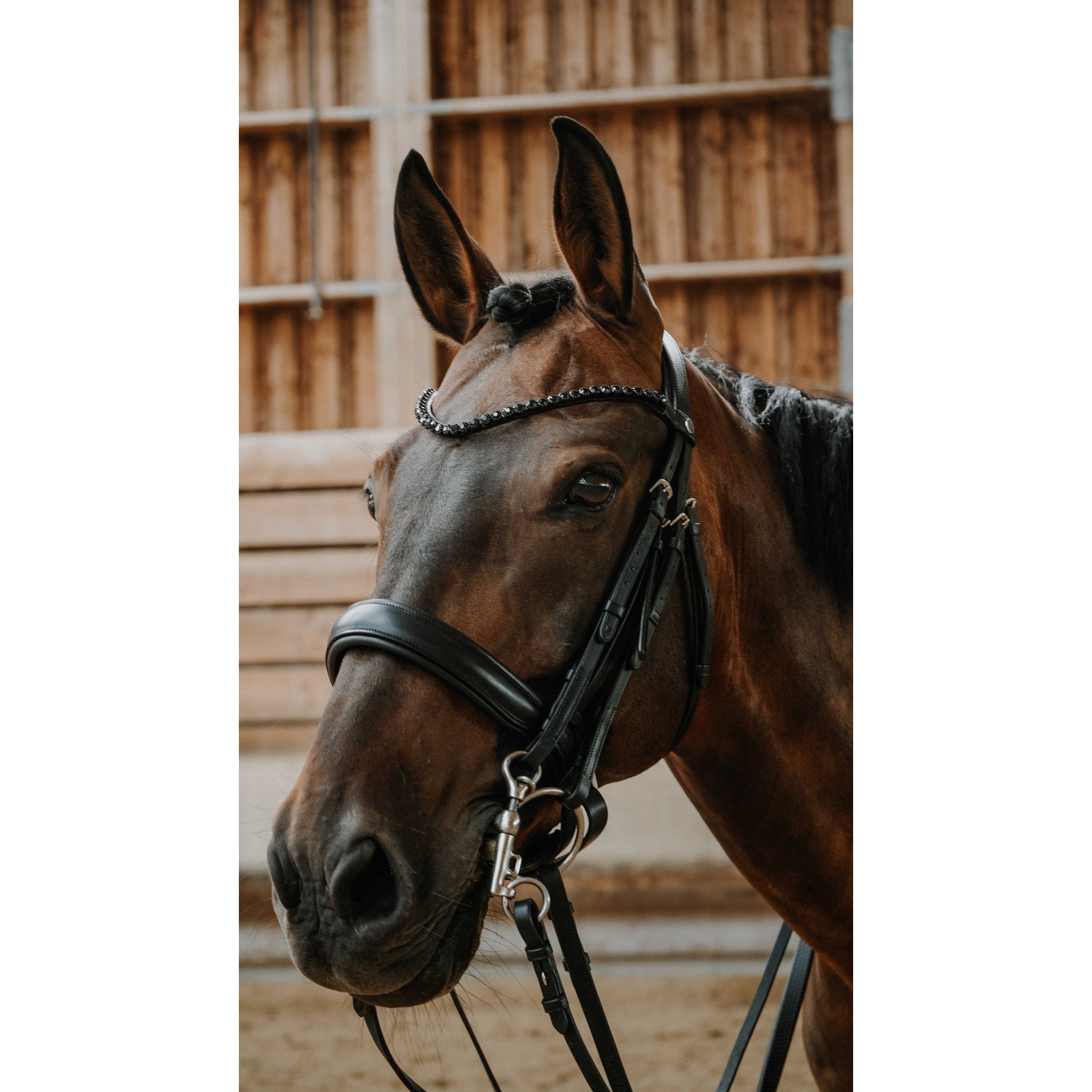 Norton Onyx Bridle Black 303007302