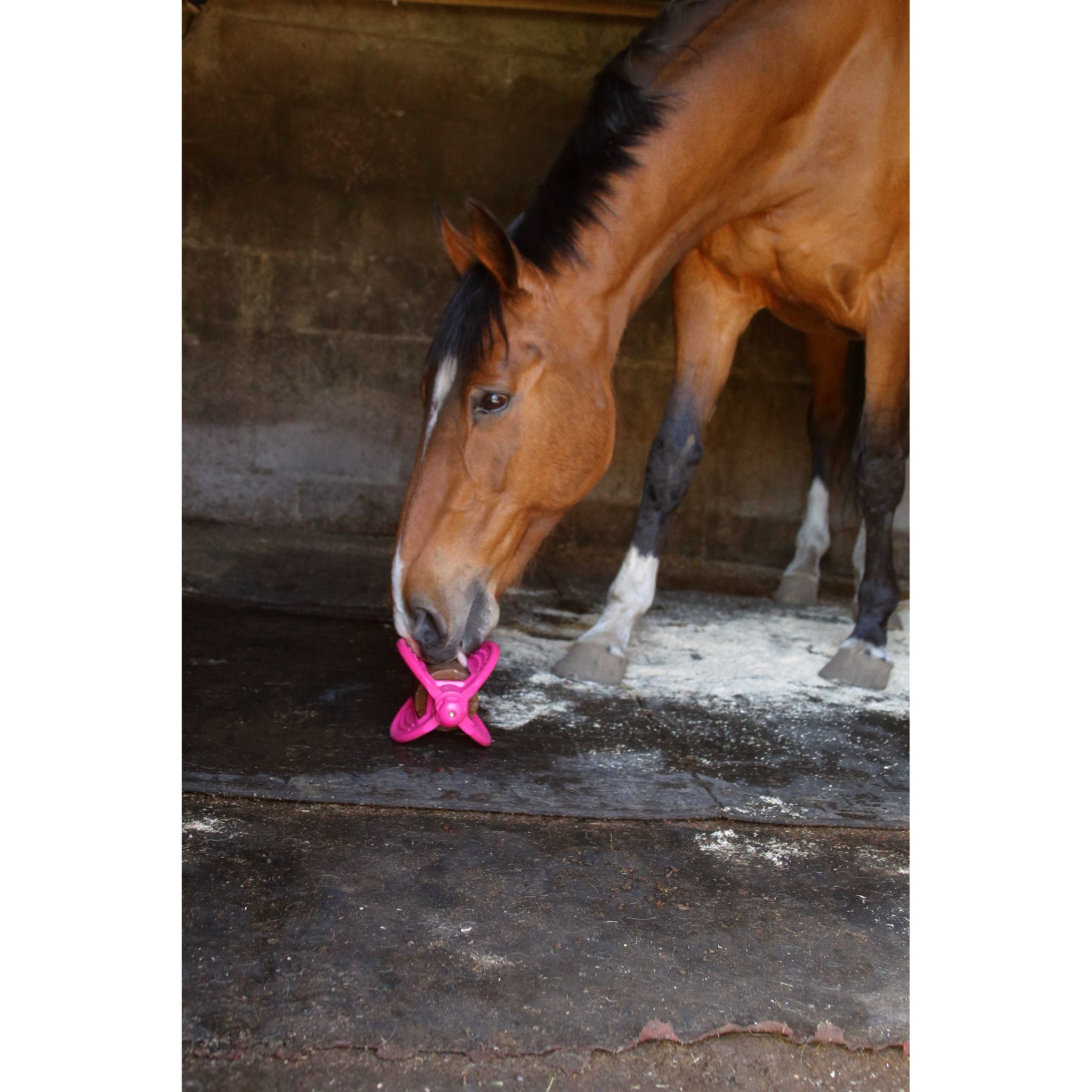 Bizzy Ball Holder Fuchsia - 380080052_ambi_5