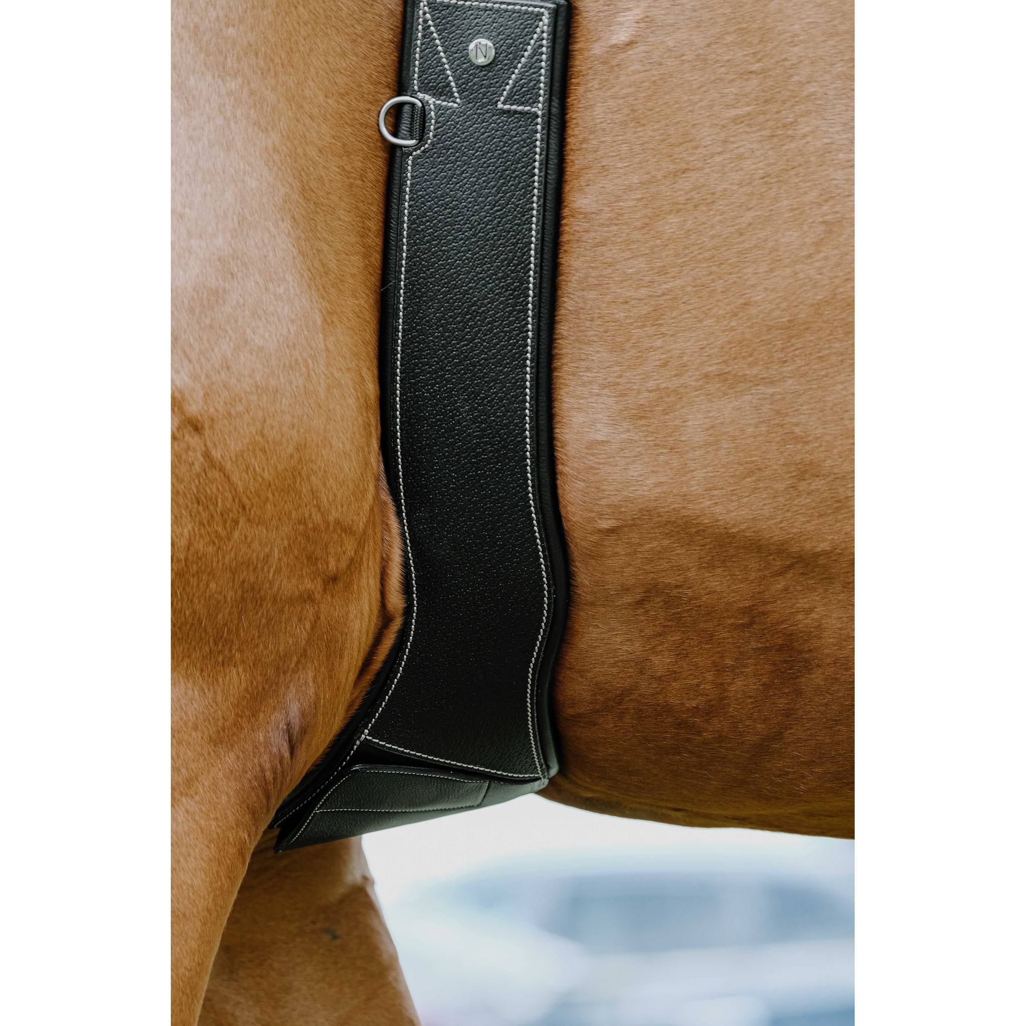 Norton Magnet Anatomical Girth Black 203147215