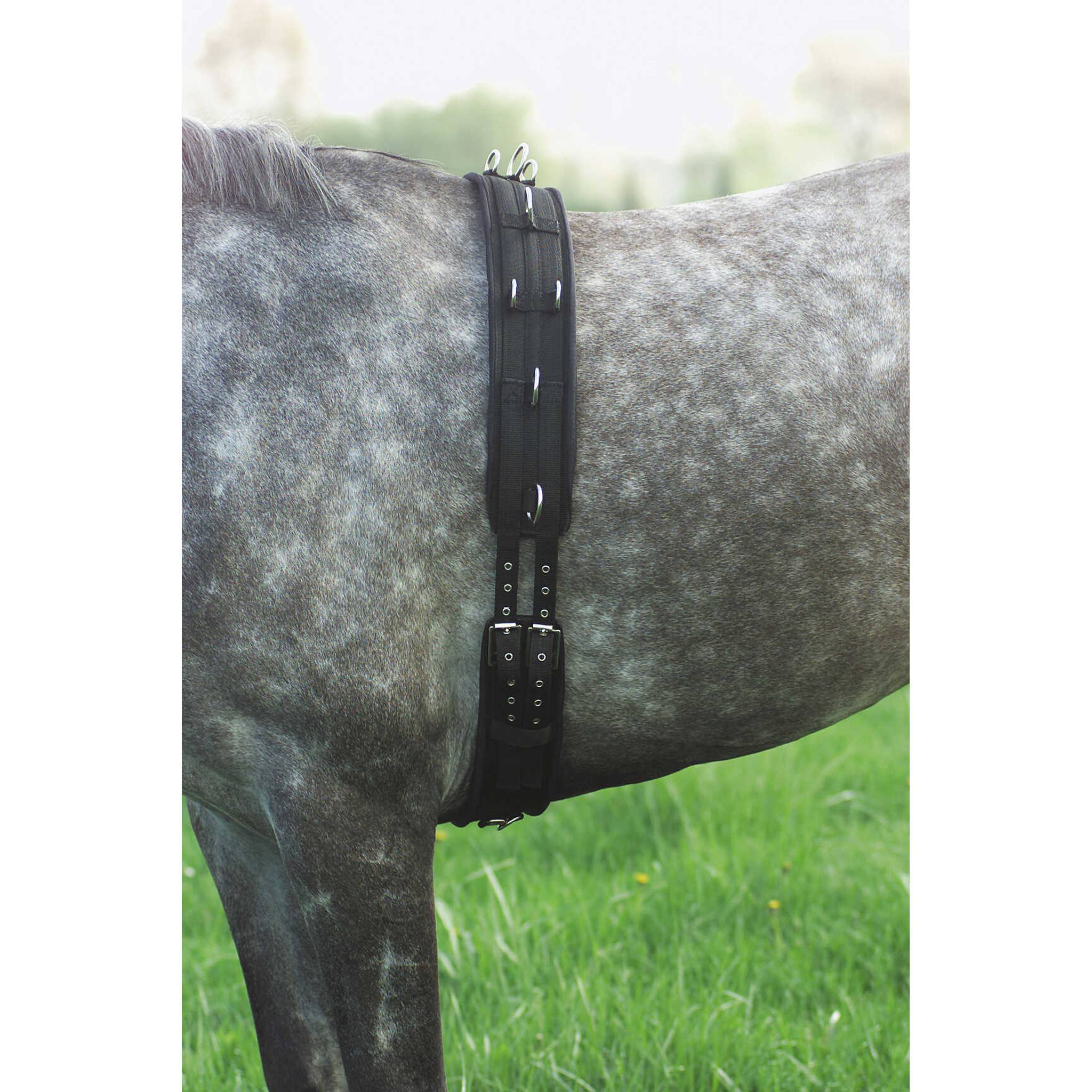 Norton synthetic training roller Black 401070002