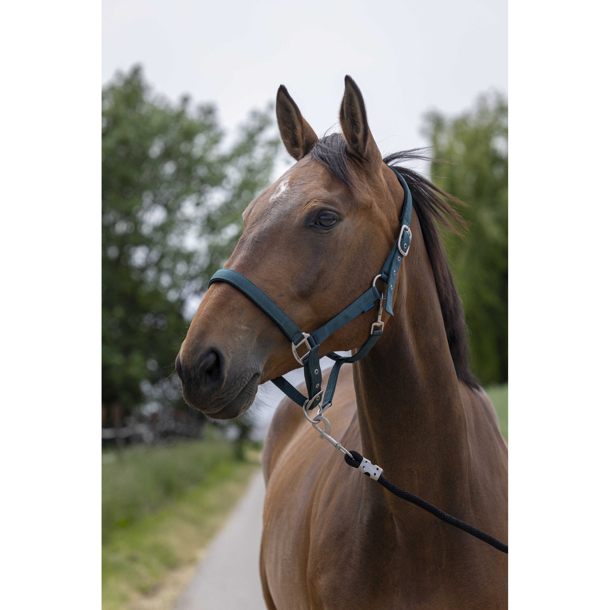 Norton Satine Halter Dark green 510248309