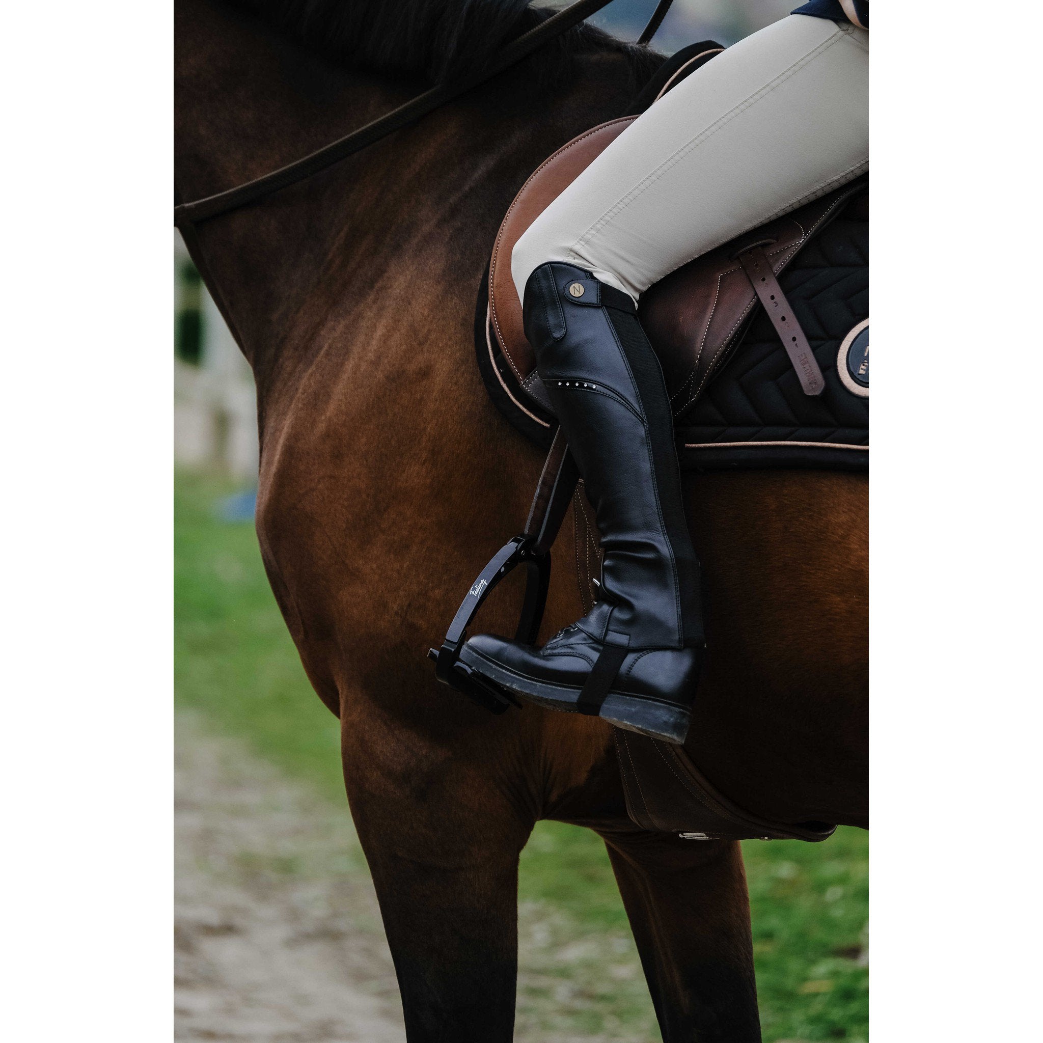 Norton Bright Half chaps - Adult Black 913031203