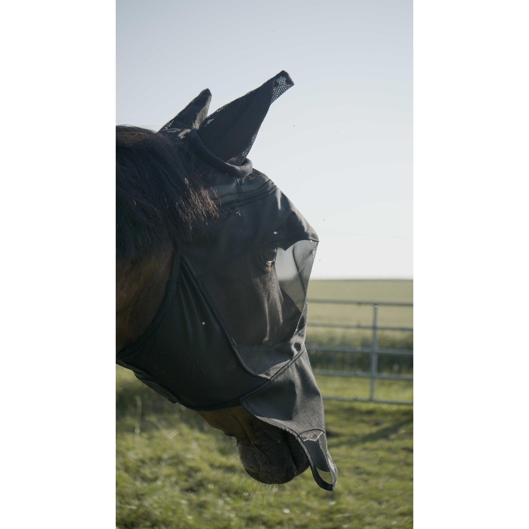 Pro Series Visor Fly Mask Black 306038203