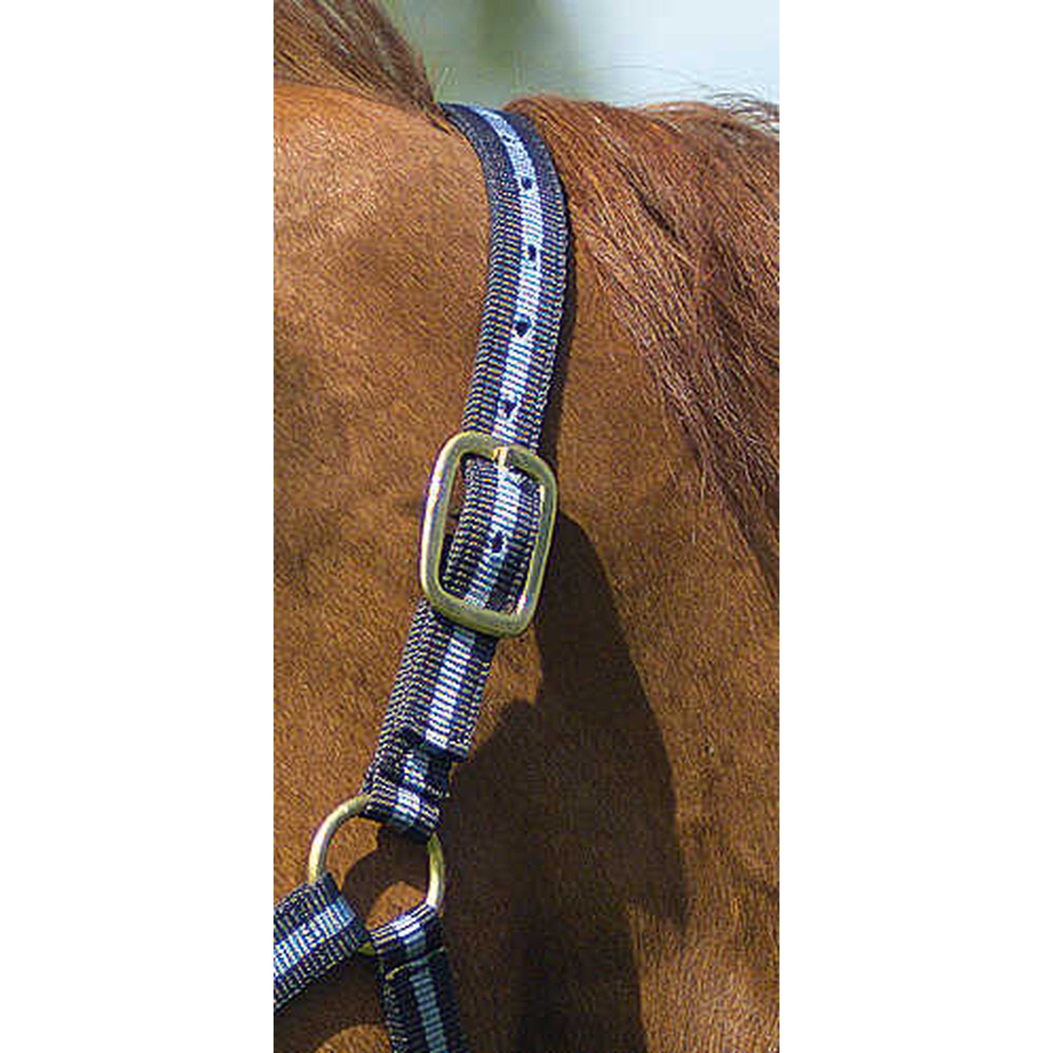 Norton Leather lined nylon headcollar Navy/light blue 510190712