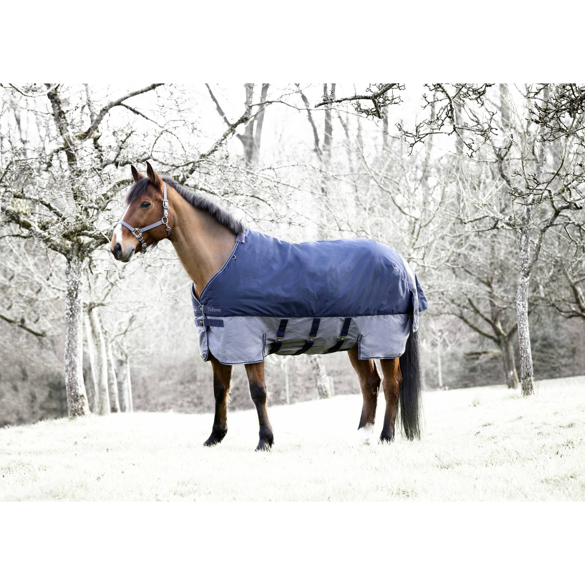 EQUITHÈME Tyrex New 600 D Turnout rug - belly belt Navy blue/grey 400922763