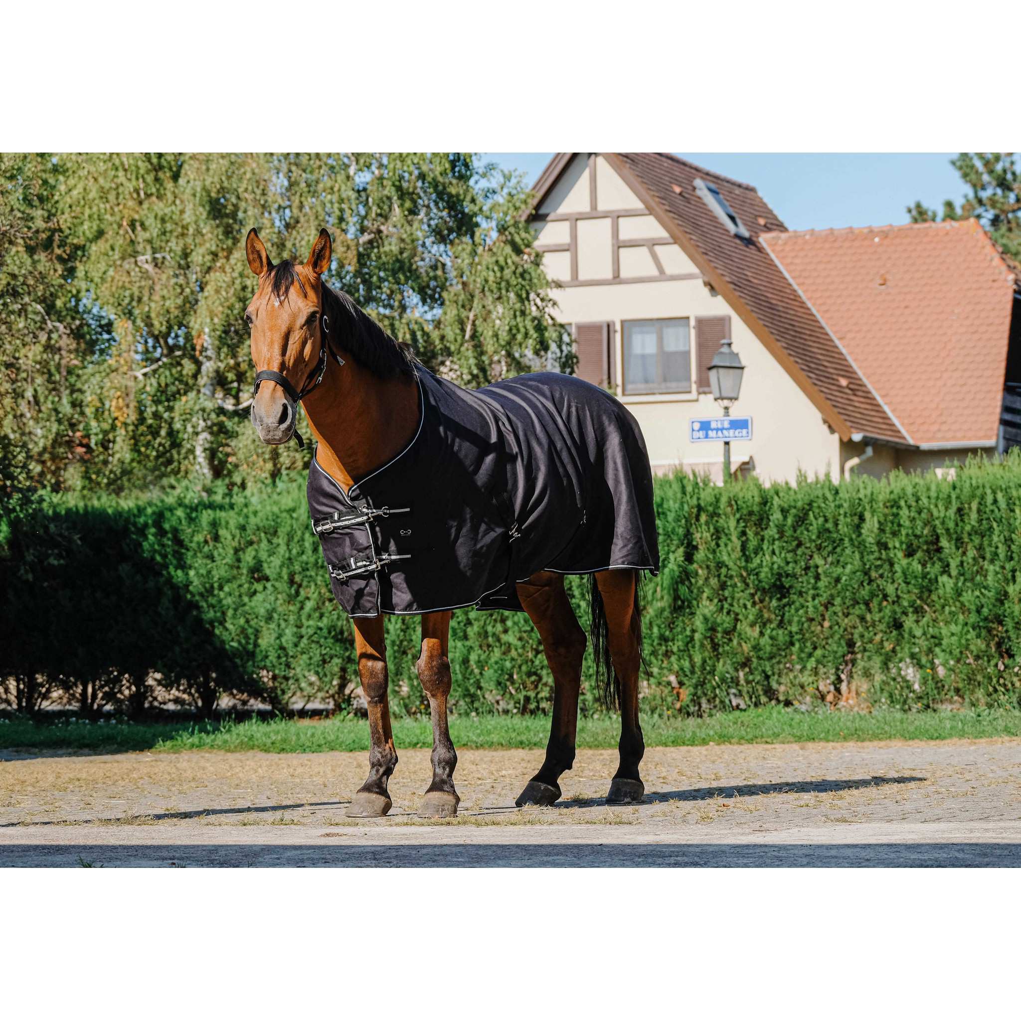 Riding World shiny Sheet Black 400709063