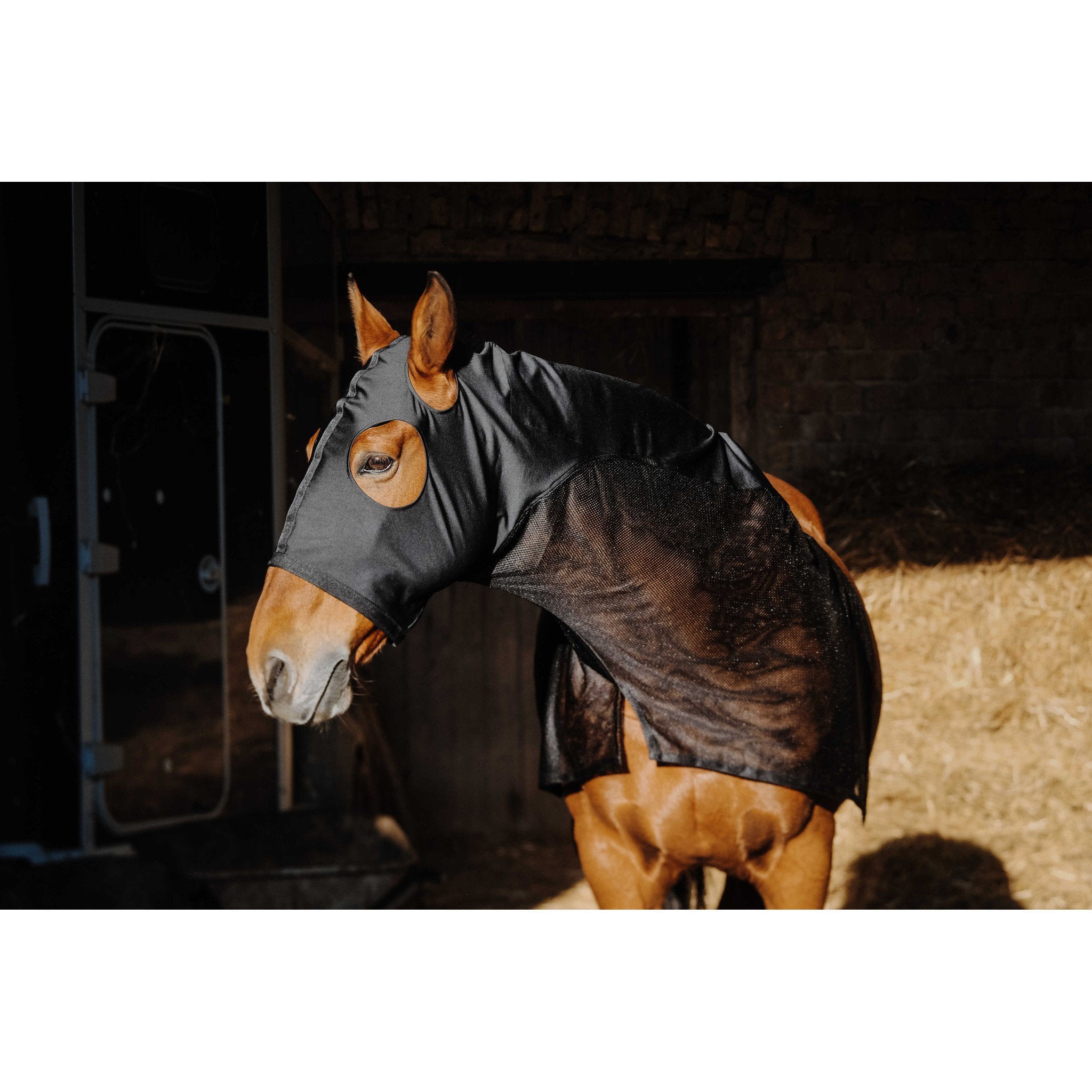 EQUITHÈME Lycra/Mesh Head and Neck Cover Black 400412202