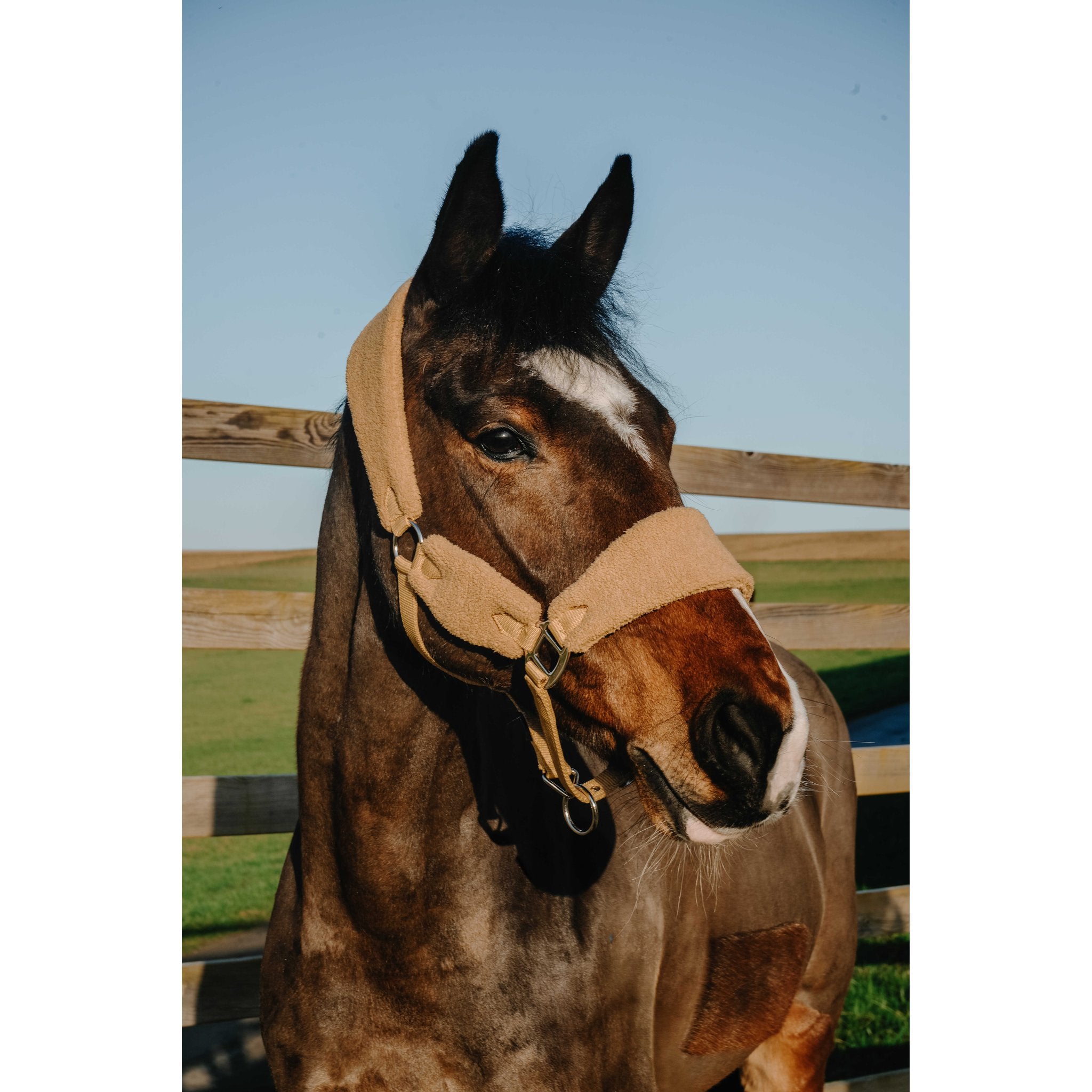 NORTON Sherpa Halter Beige - 510279305_ambi_1