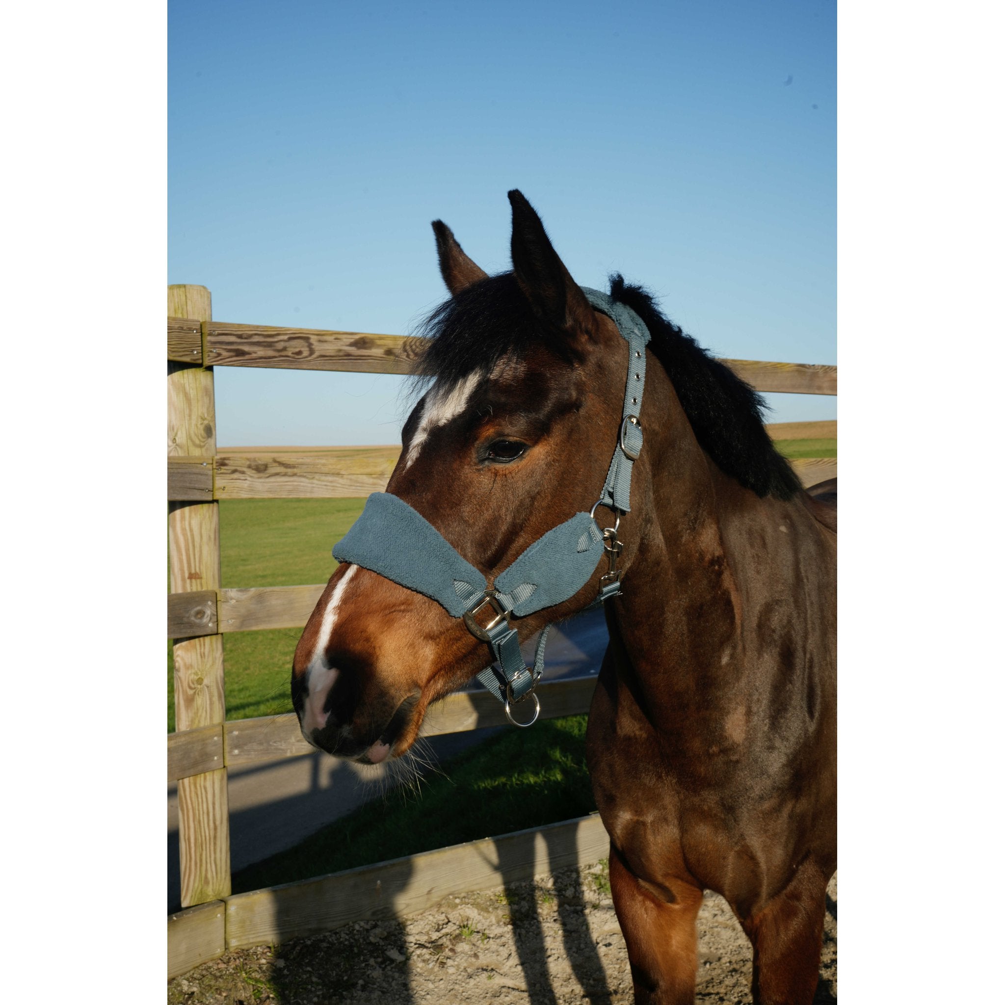 NORTON Sherpa Halter Blue - 510279306_ambi_1