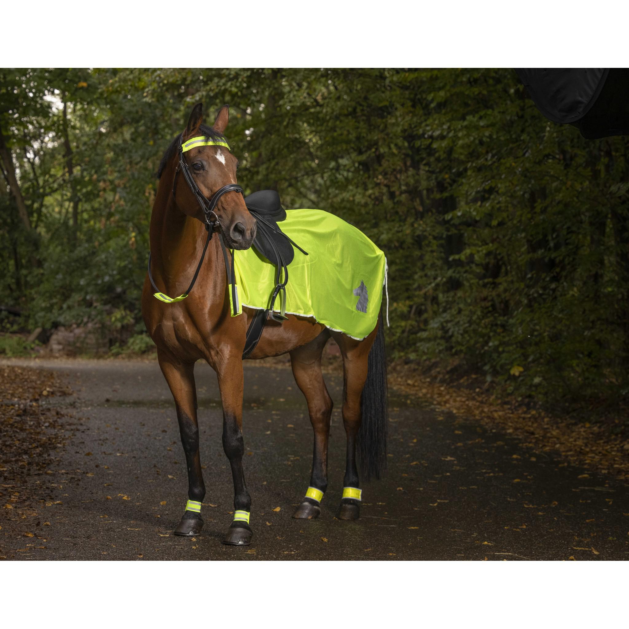 Norton Fluorescent exercise sheet Fluorescent yellow 930418