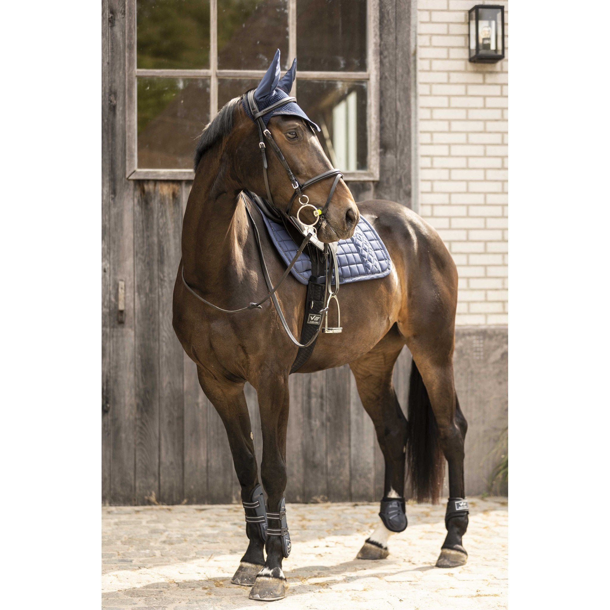 Lami-Cell Galaxy Fly Veil Navy blue 320031307