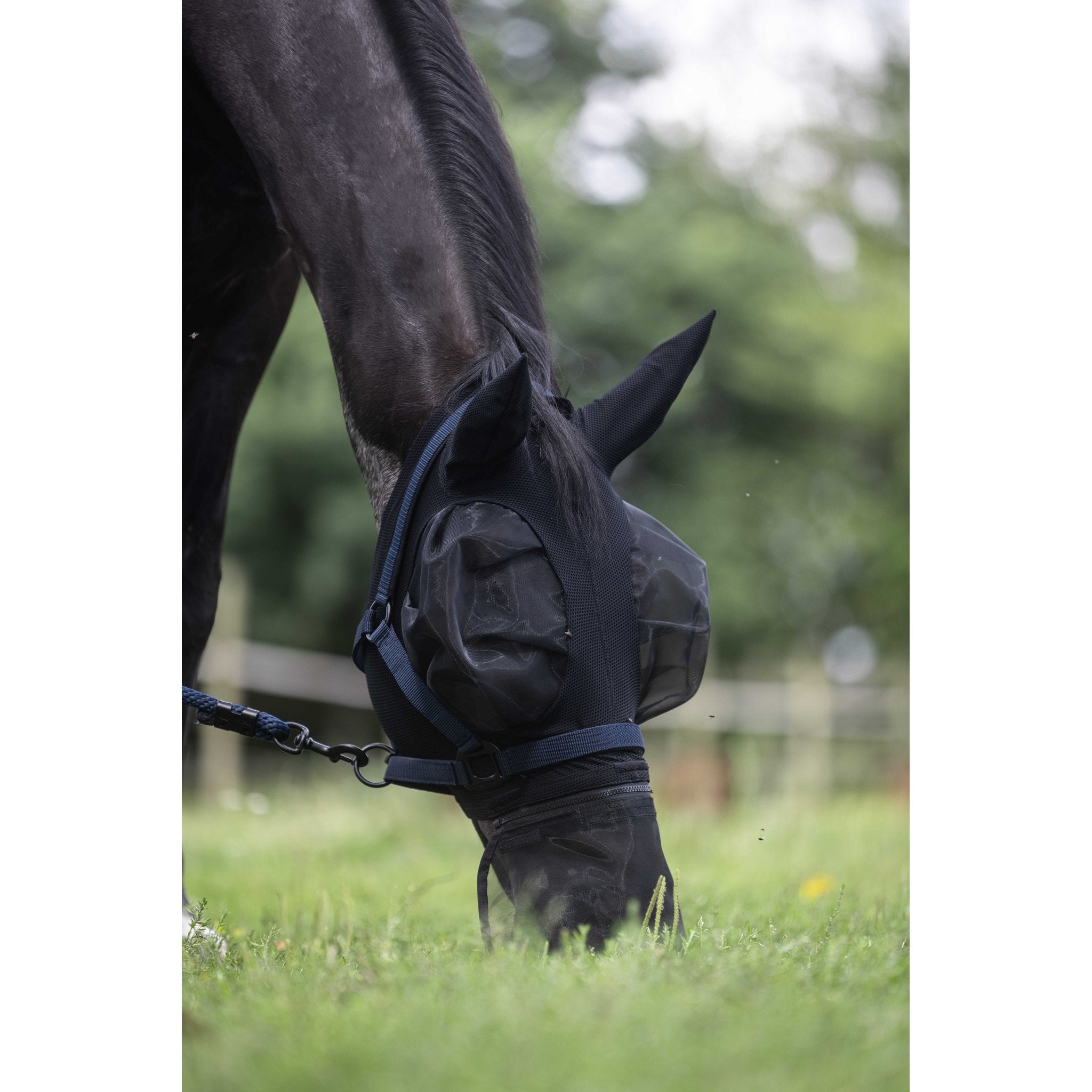 LAMI-CELL Flexifit 3-in-1 Fly Mask Black - 306047302_ambi_12