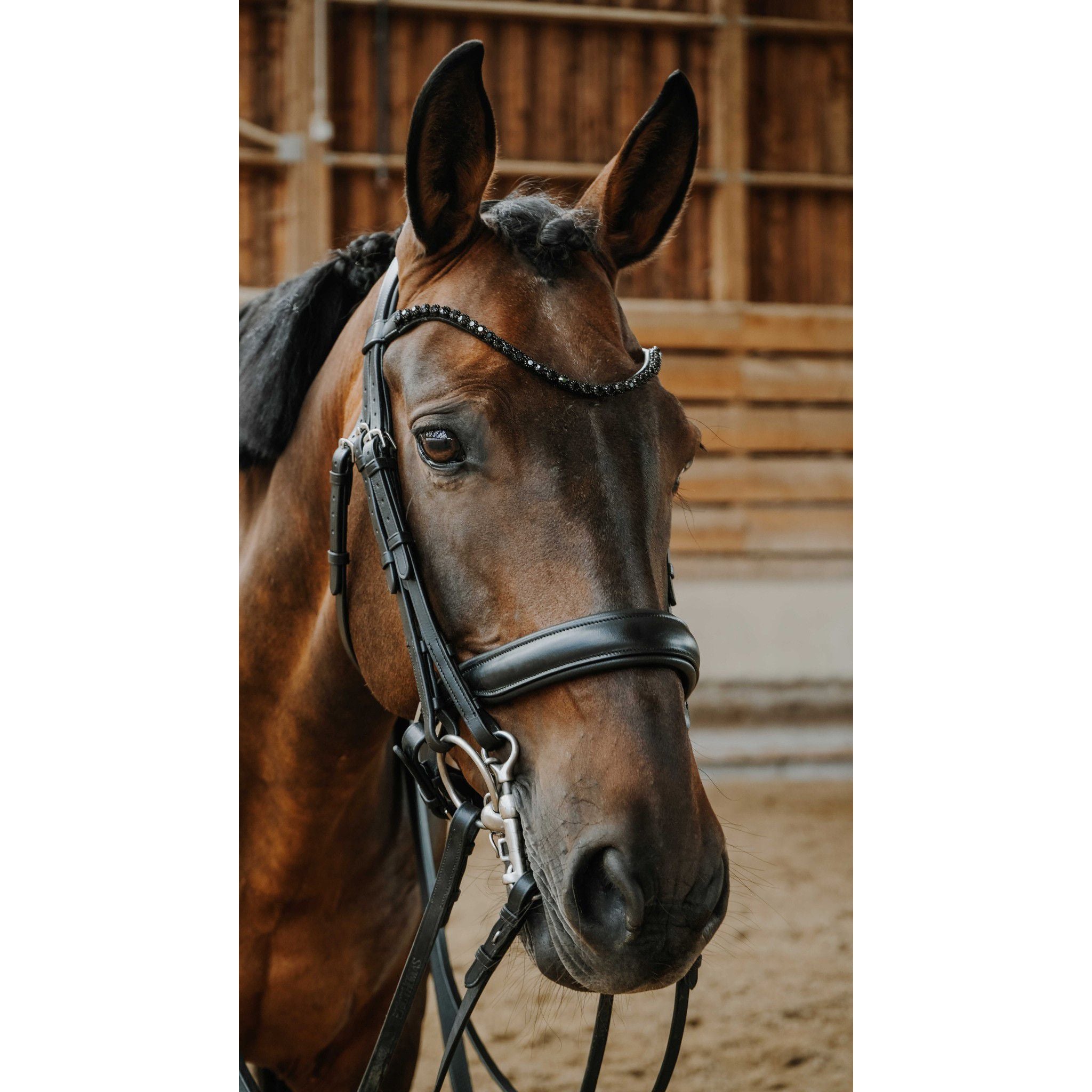 Norton Onyx Bridle Black 303007302