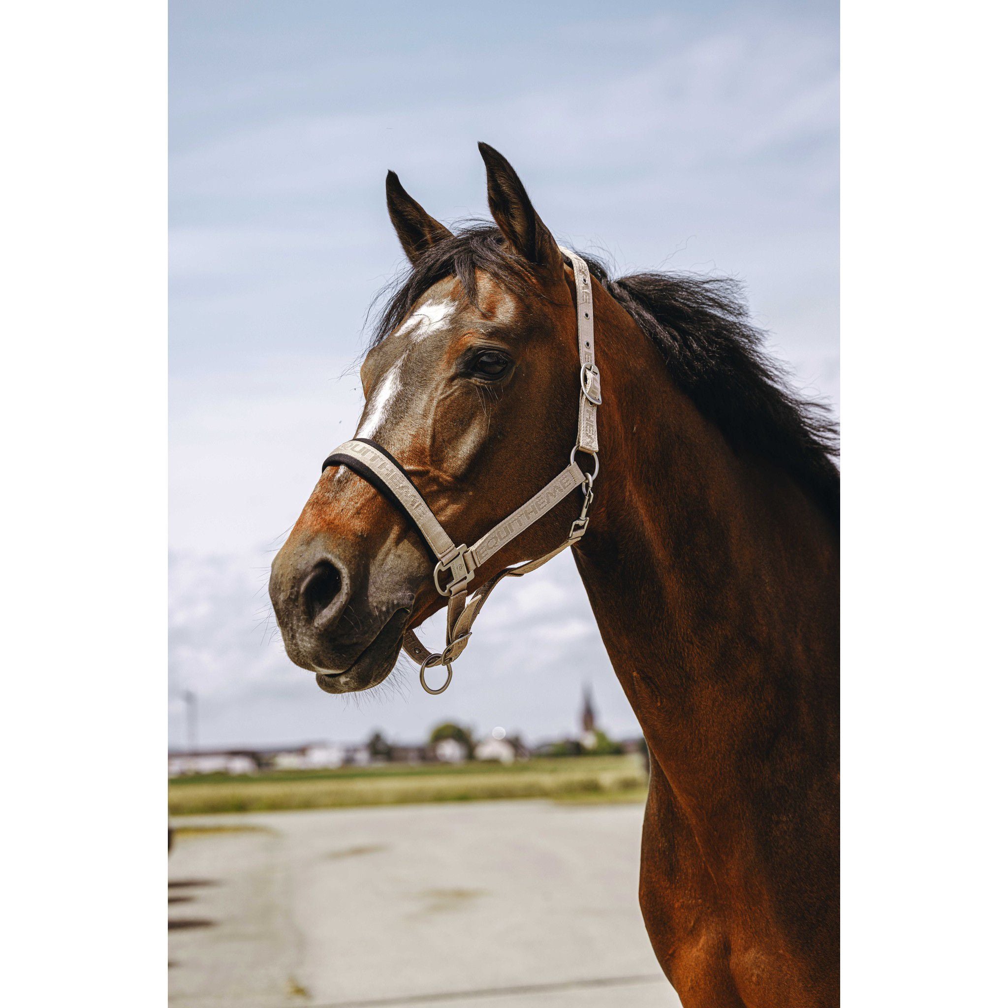 EQUITHÈME Jacquard Halter Taupe 510259327