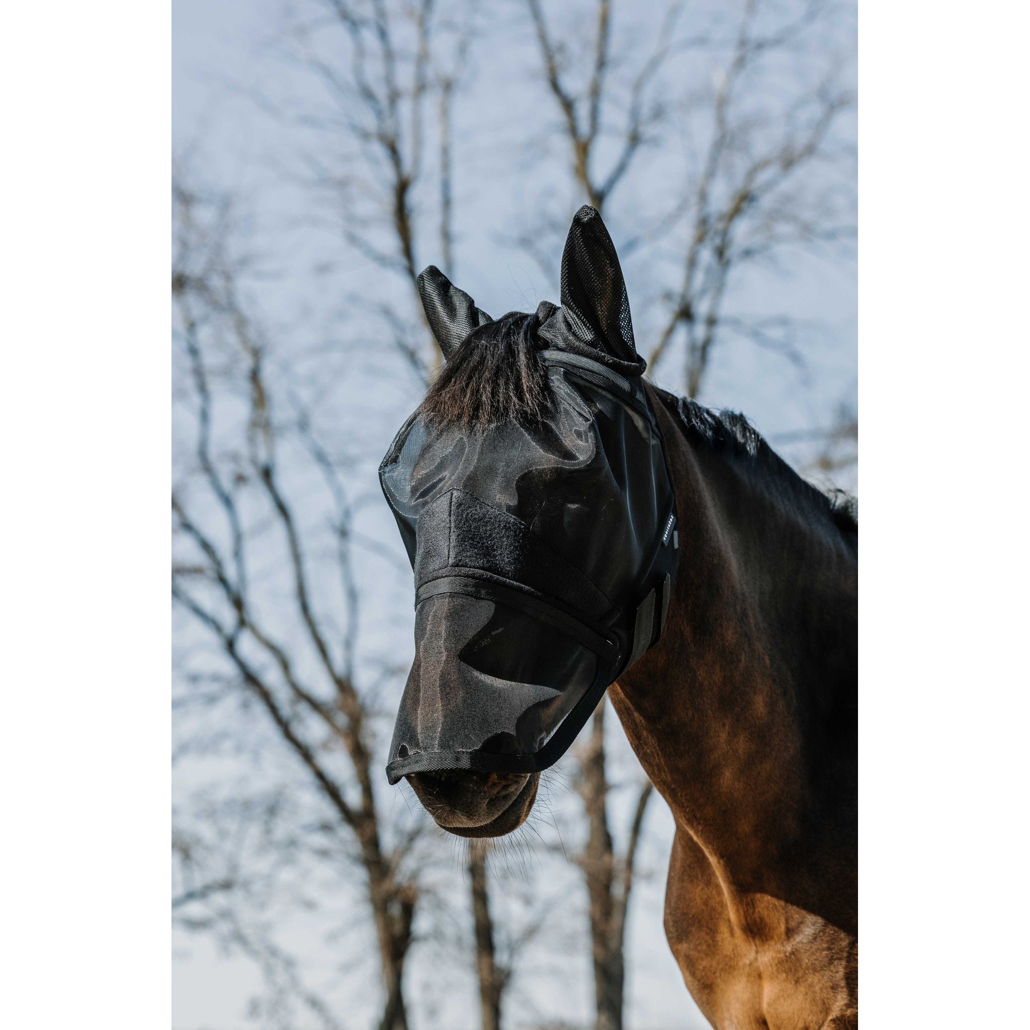 EQUITHÈME 2-in-1 UV Protection Fly Mask Black 306022203