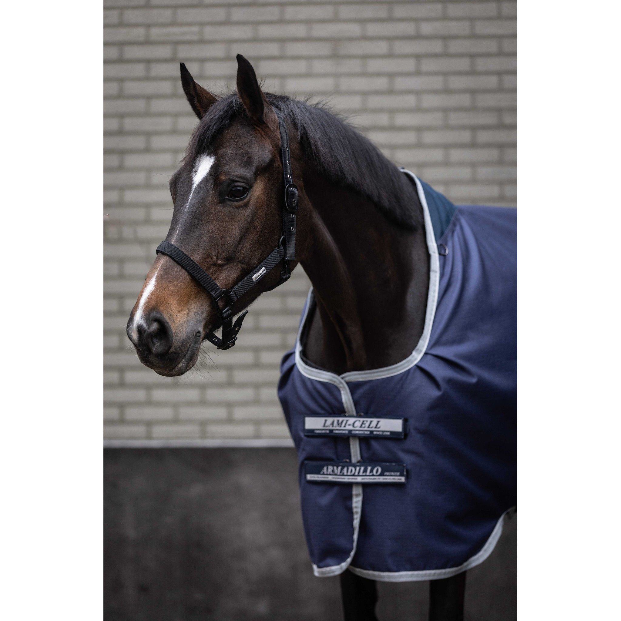 Lami-Cell Armadillo 1200D Turnout Sheet Navy blue/grey 400867063