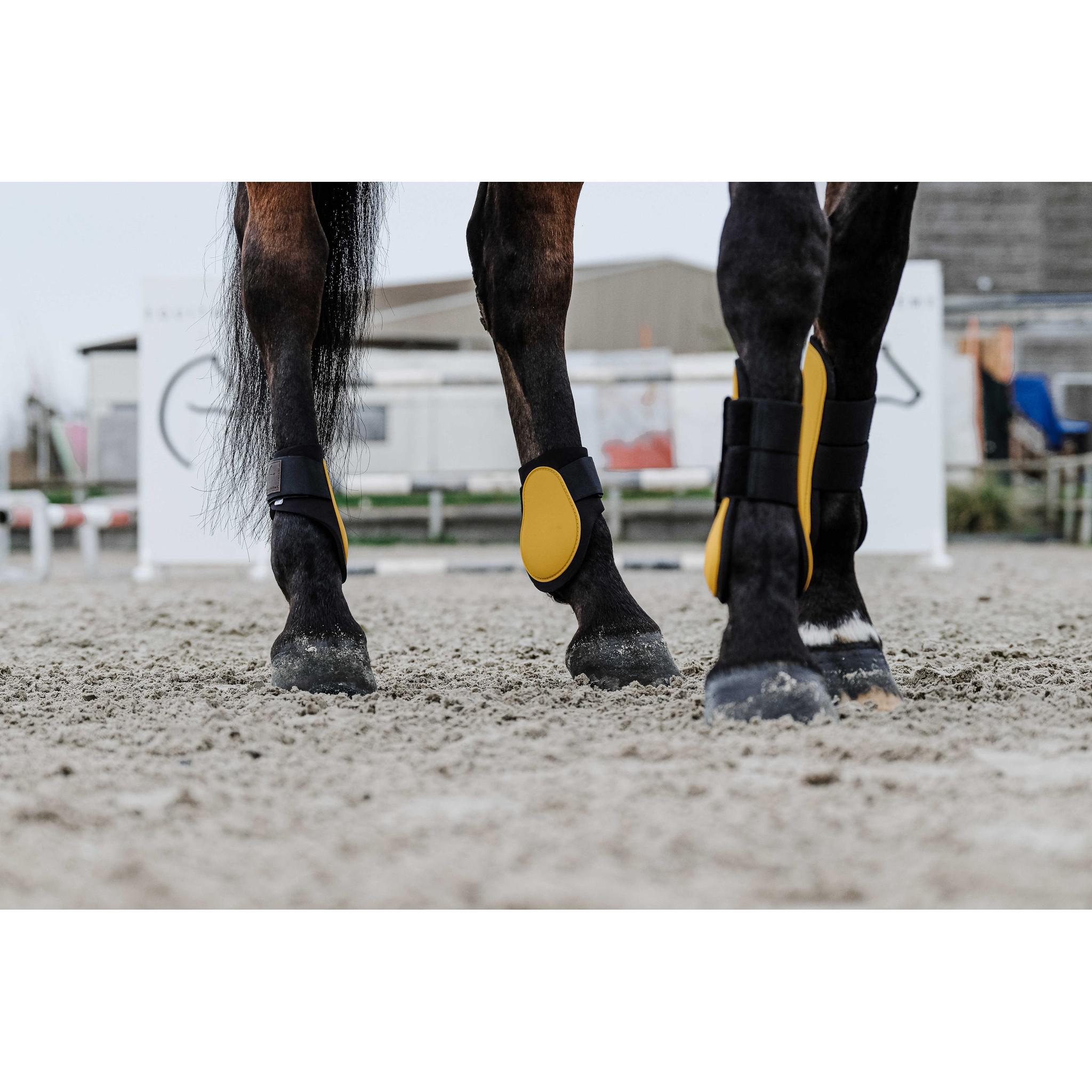 EQUITHÈME Tara Fetlock boots Gold 530817310