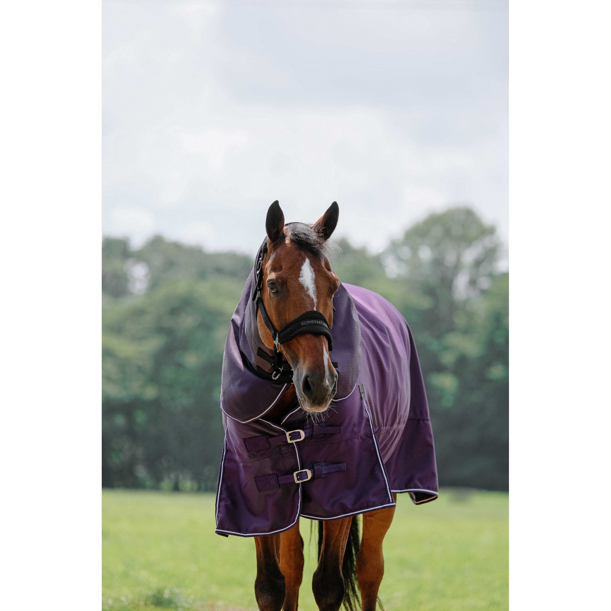 EQUITHÈME Tyrex 600D Neck cover Plum 400567133