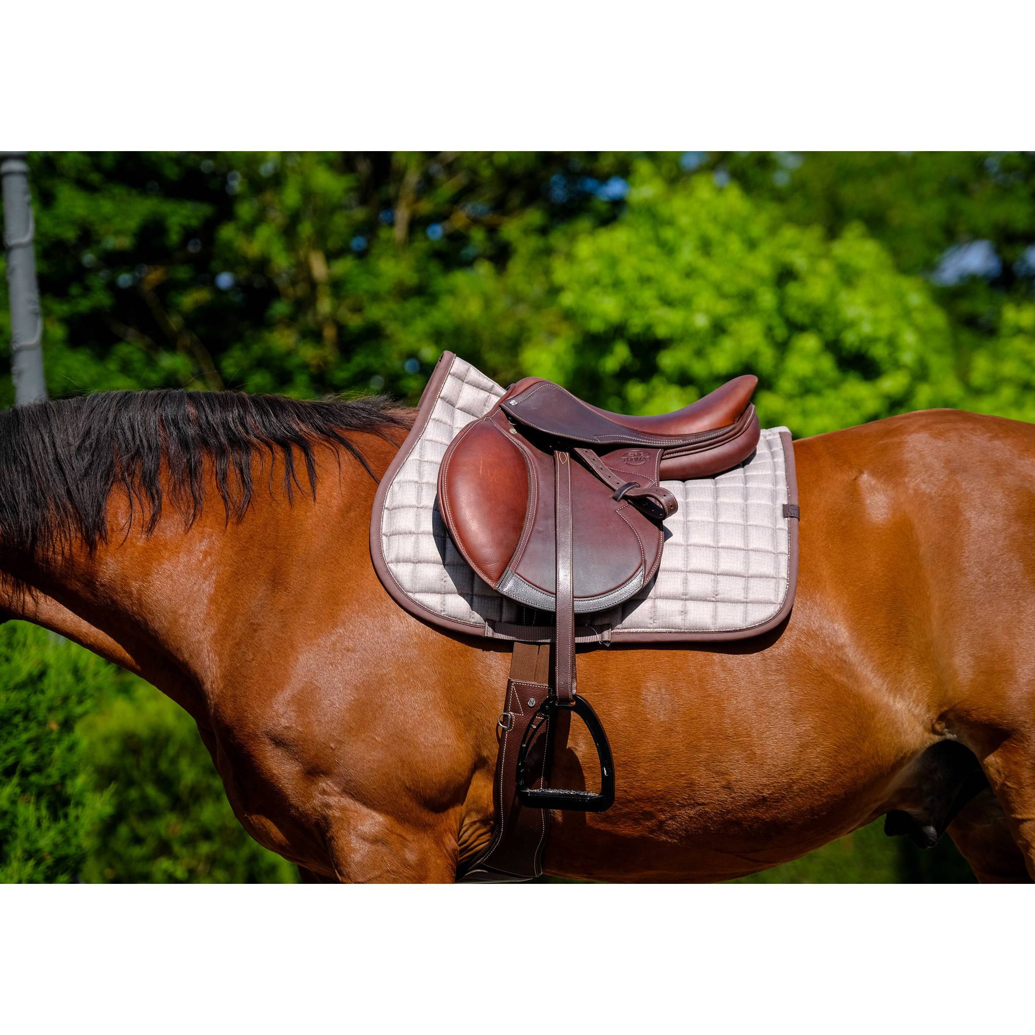 EQUITHÈME Chic saddle pad - All purpose chestnut brown 204001004